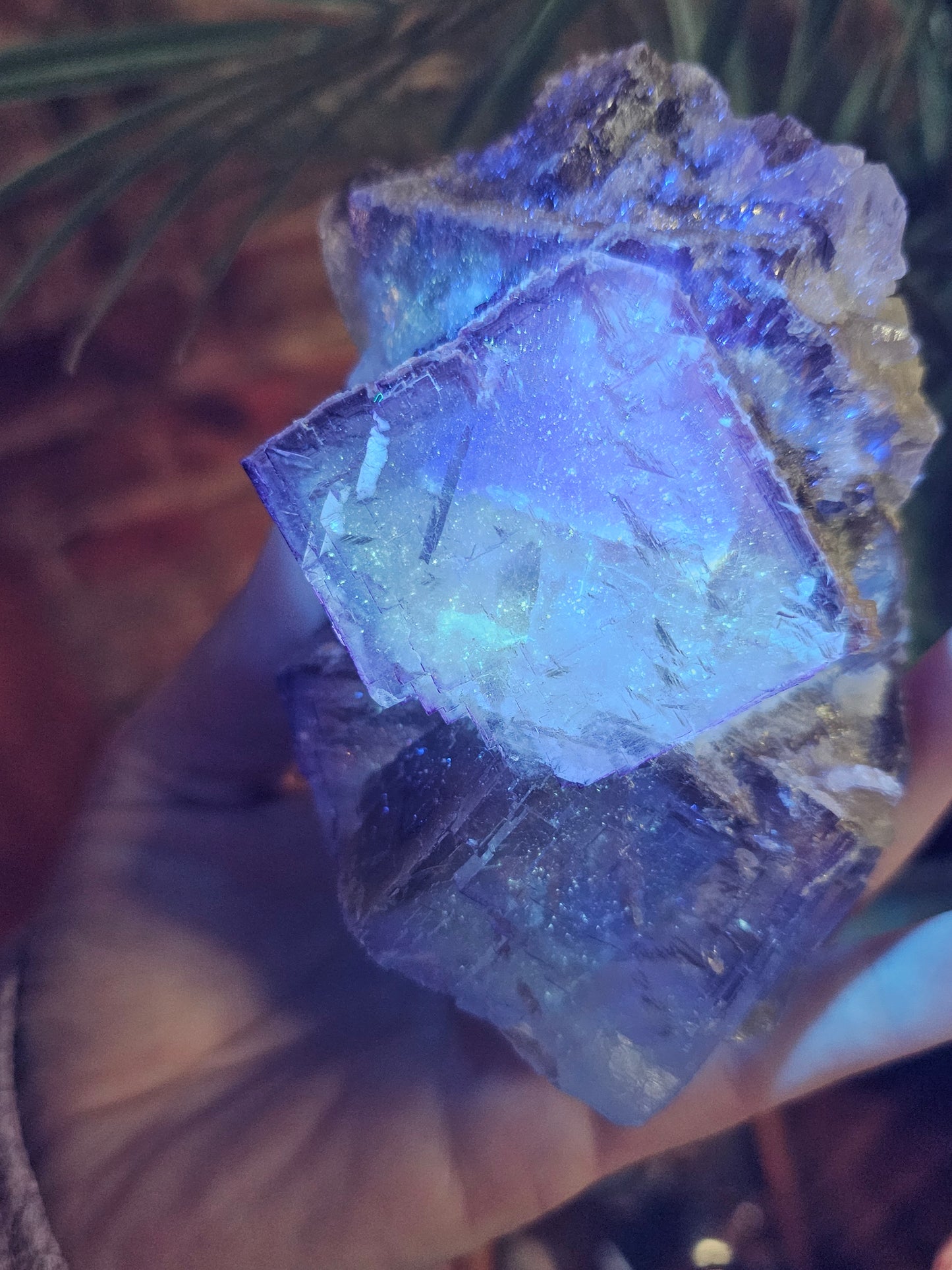 Purple Cubic Fluorite