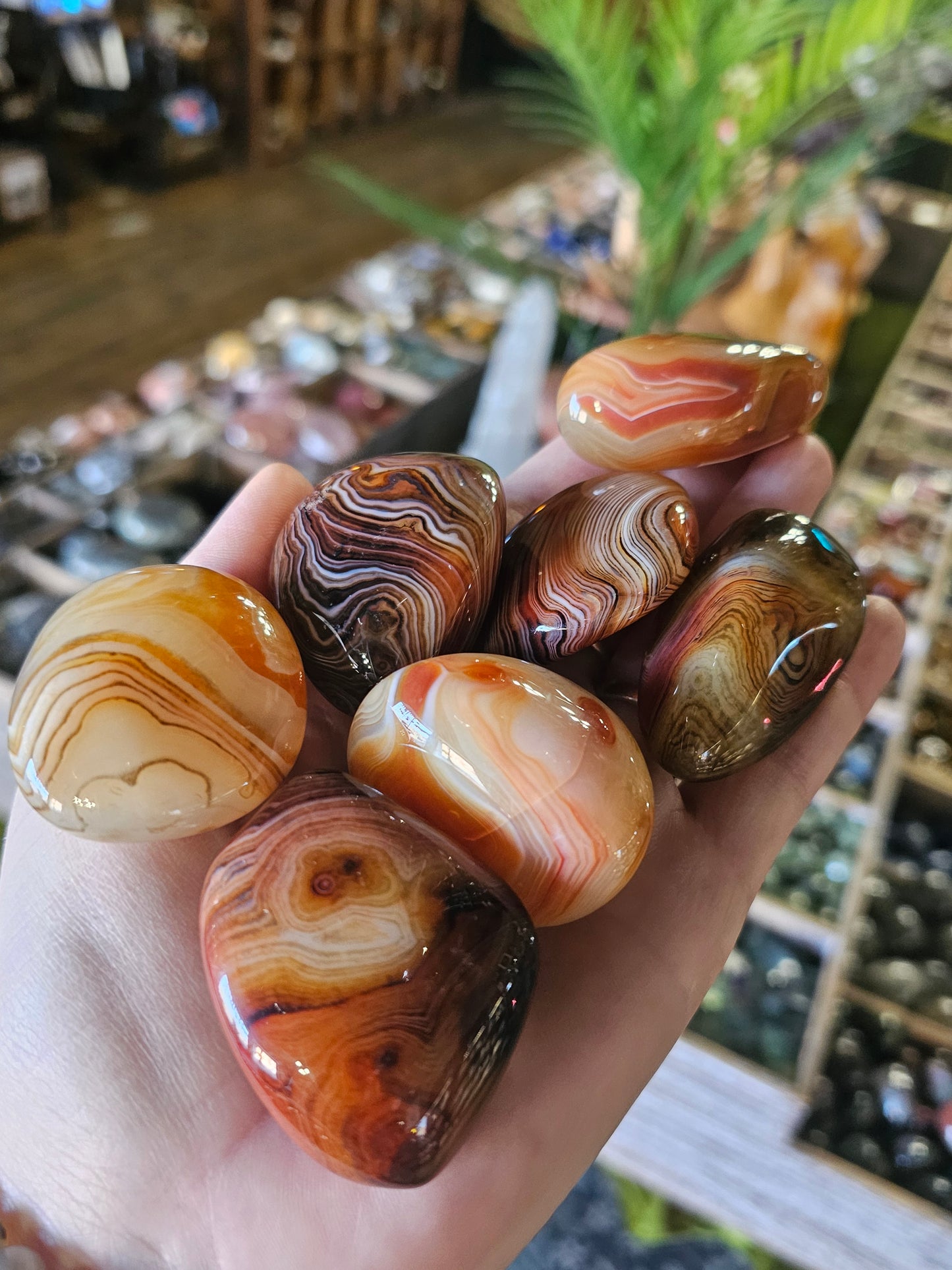 Sardonyx Palmstone