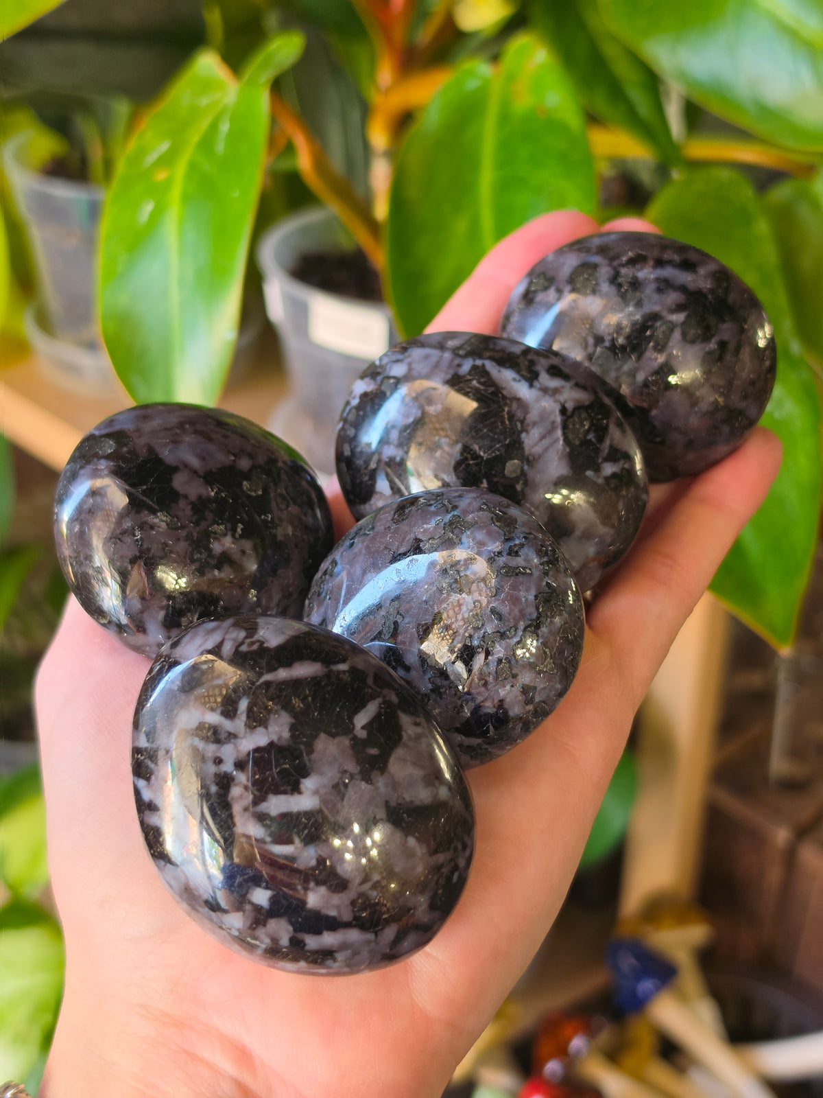 Indigo Gabro Palmstone