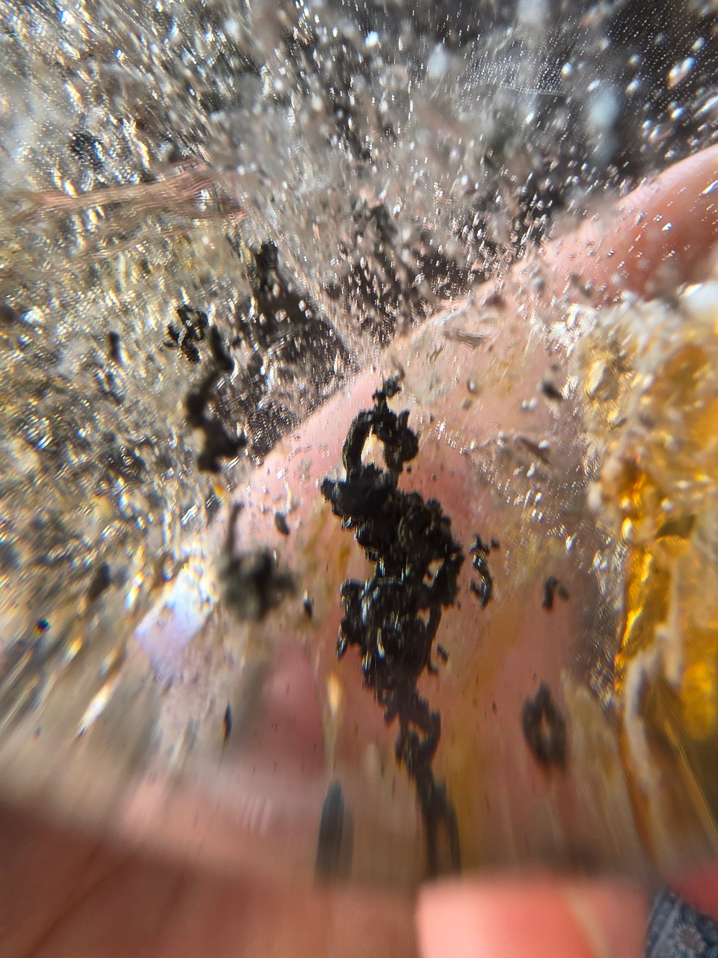 Included Smoky Quartz (Moving Fluid Inclusion)