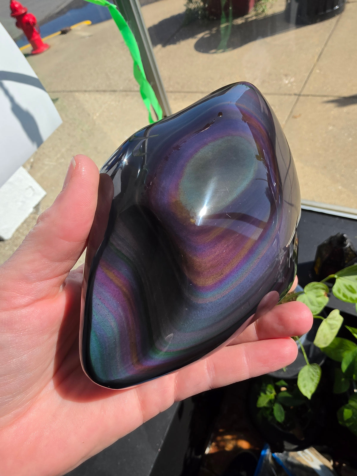 Rainbow Obsidian Freeform
