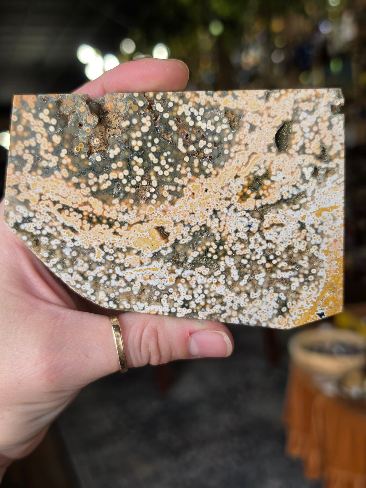 Ocean Jasper Polished Slab