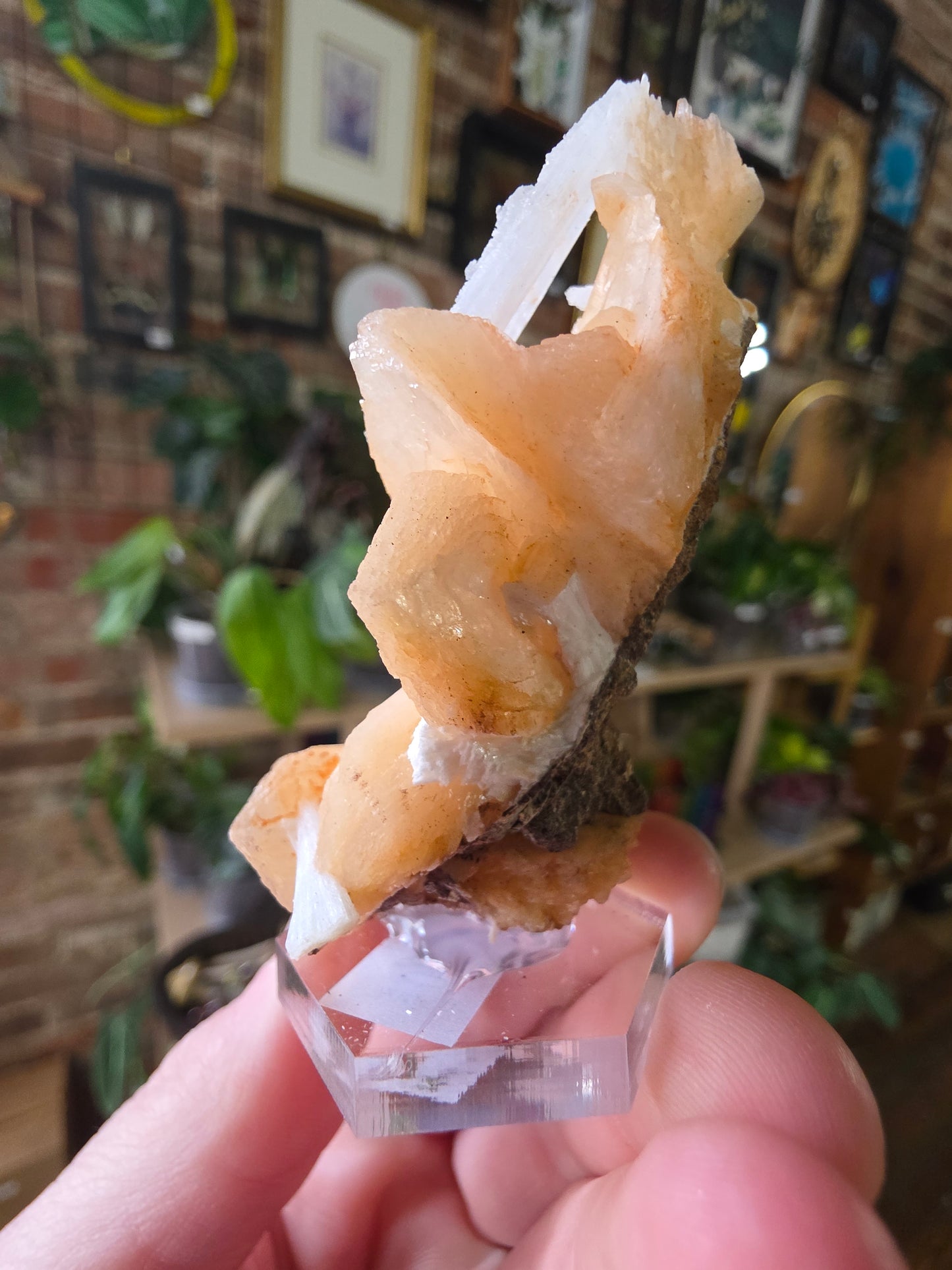 Scolecite on Peach Stilbite