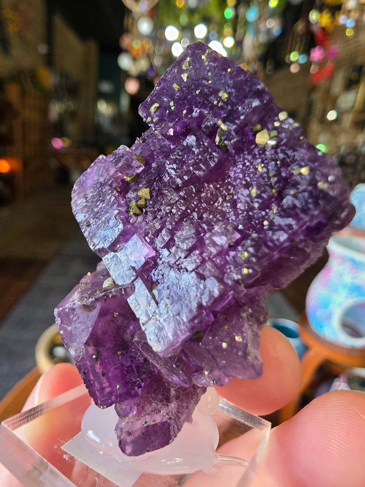 Pyrite on Fluorite