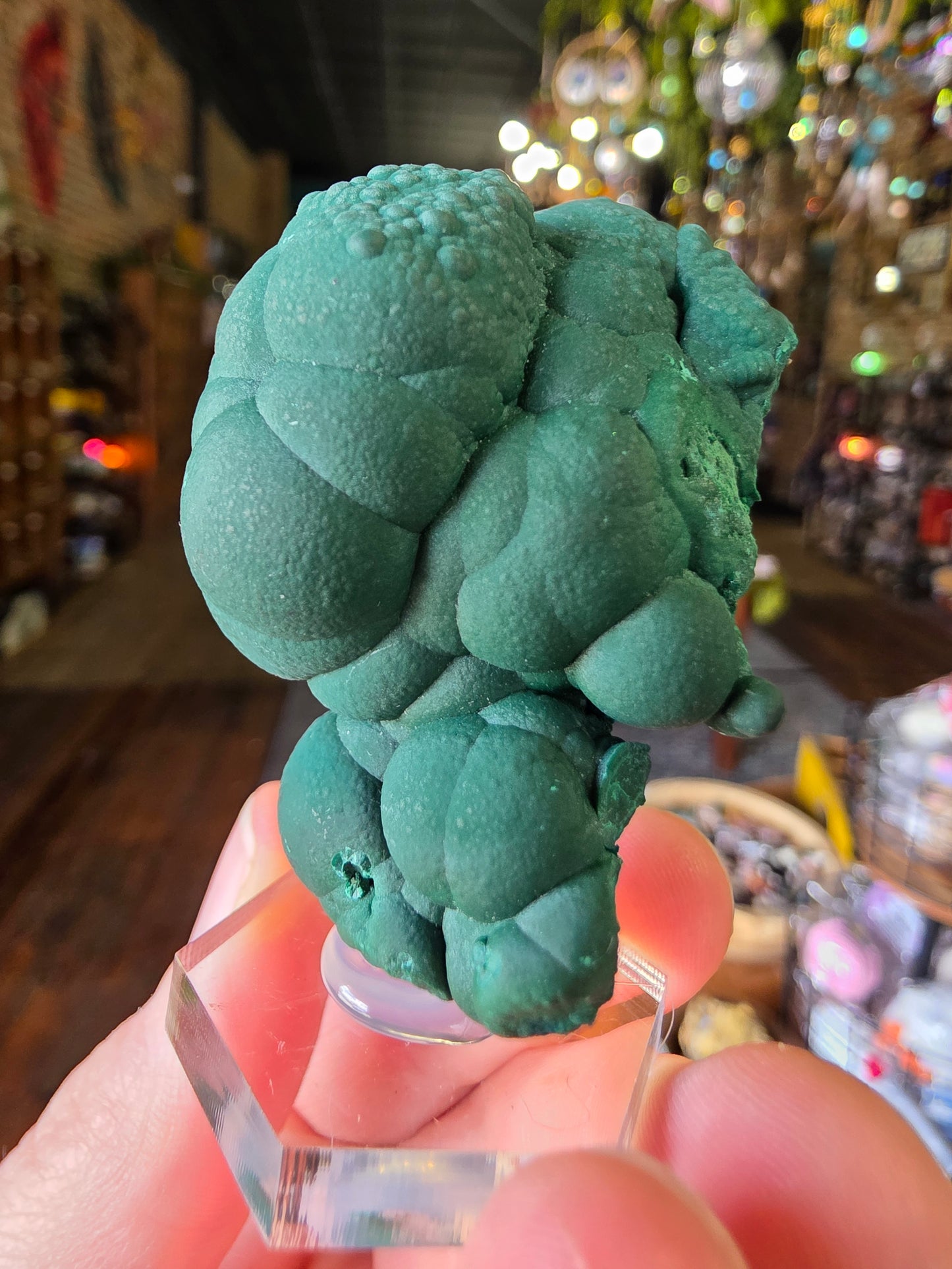 Botryoidal Malachite