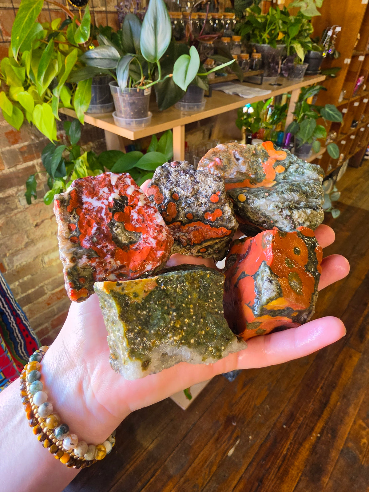 Orbicular Jasper Rough