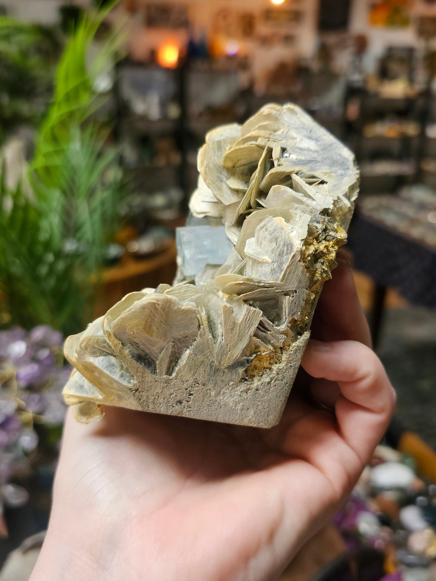 Aquamarine on Muscovite