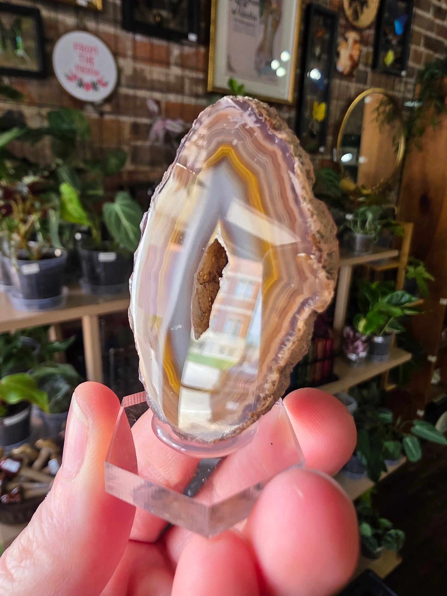 Coyamito Agate Slab