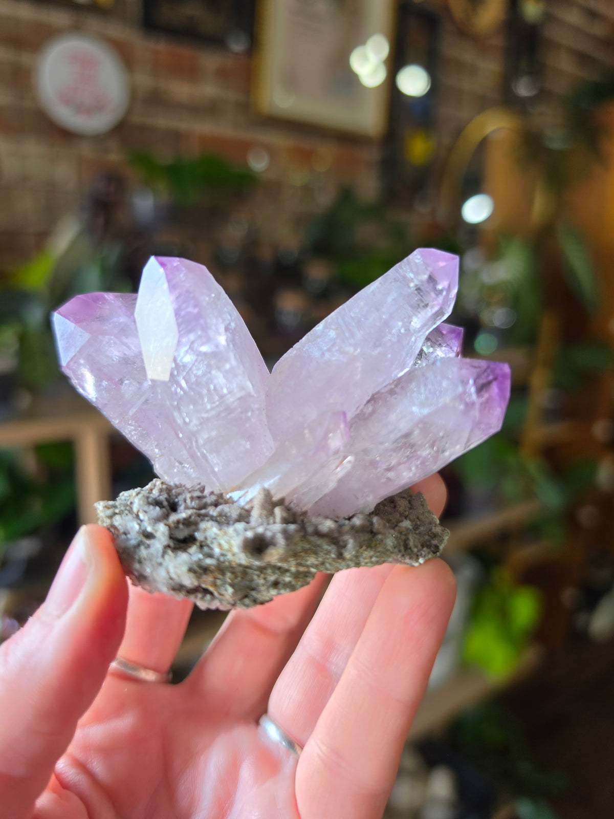 Vera Cruz Amethyst on Dolomite