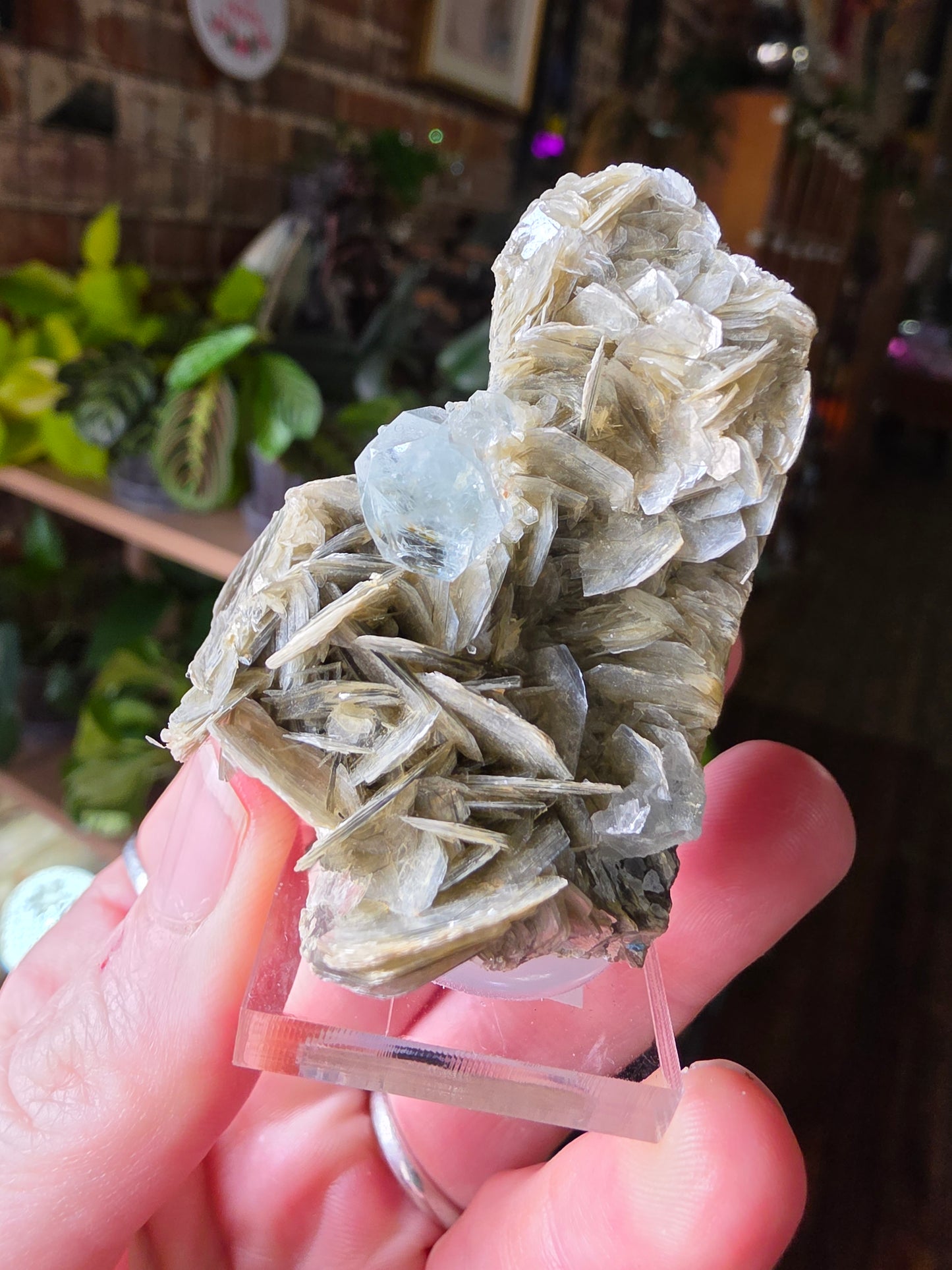 Aquamarine on Muscovite
