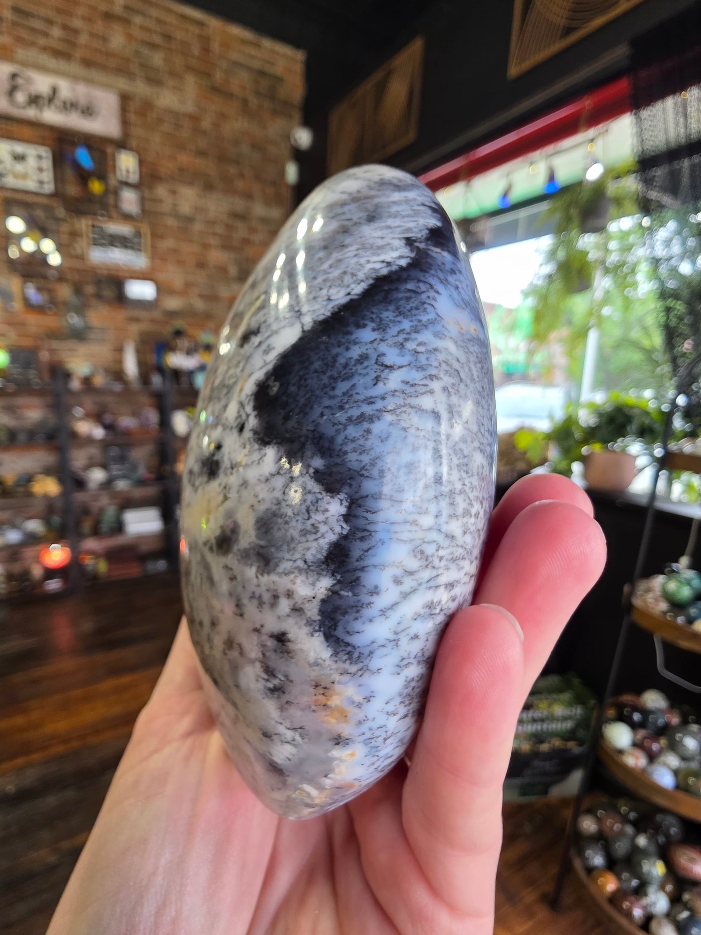Dendritic Common Opal