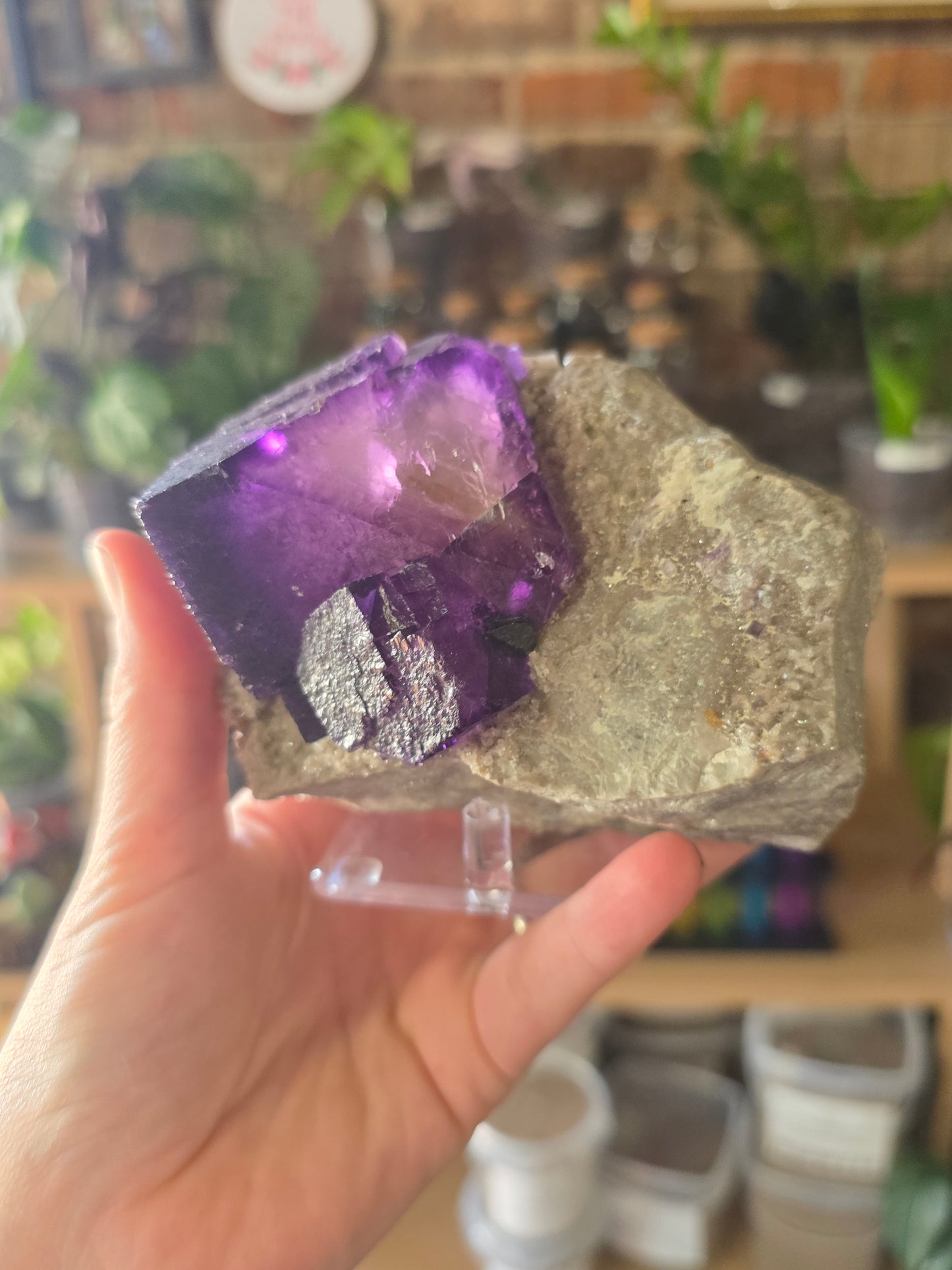 Fluorite and Sphalerite on Druzy Quartz