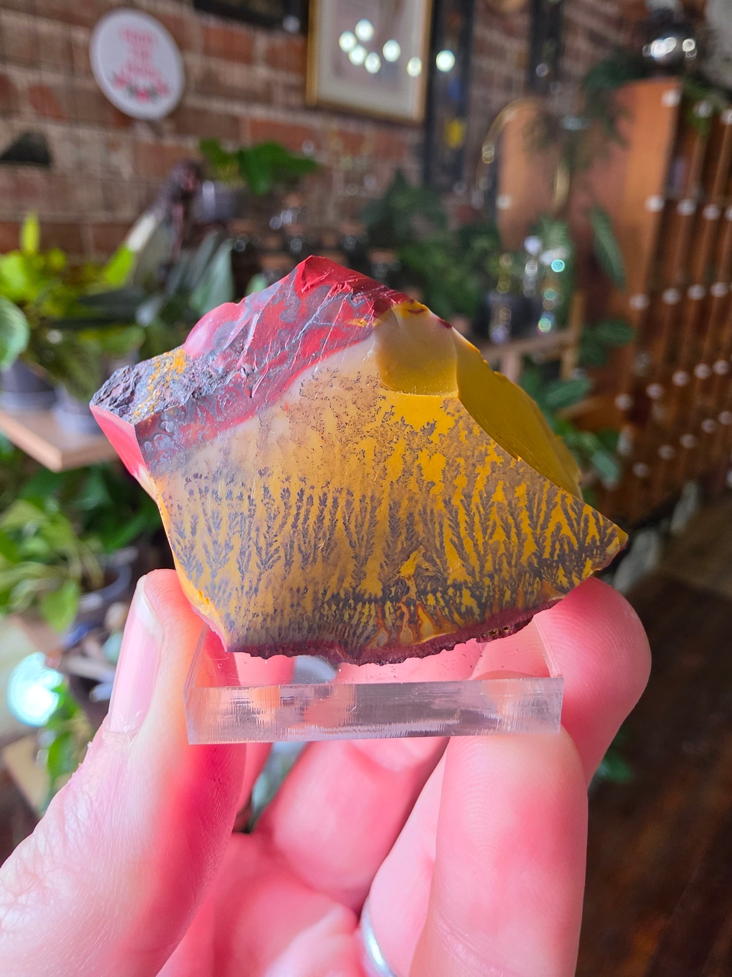 Mookaite with Dentrites