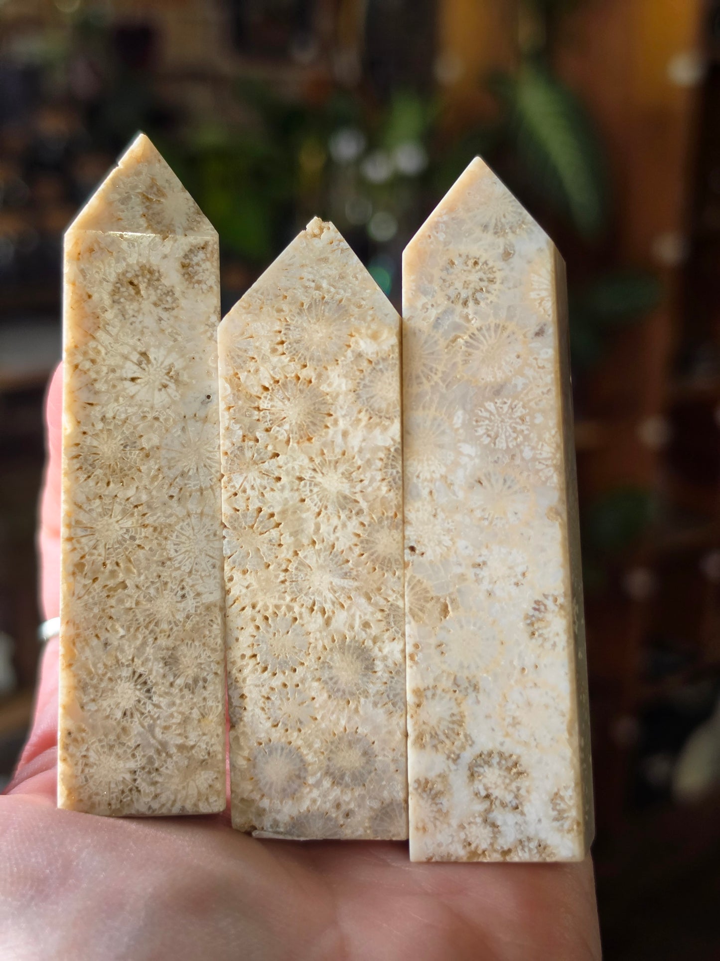 Coral Jade Point