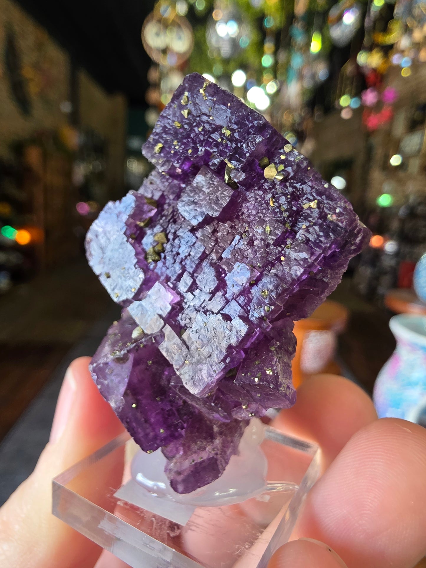 Pyrite on Fluorite