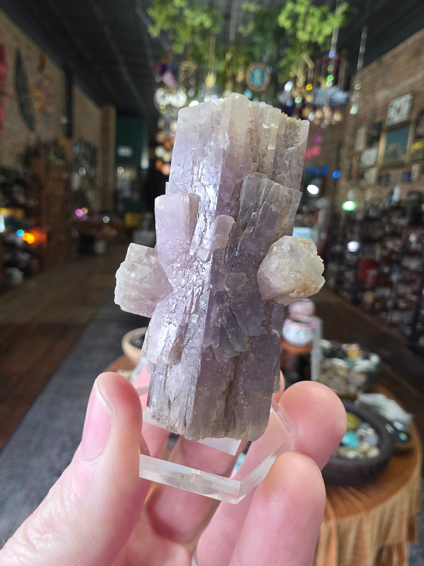 Purple Aragonite