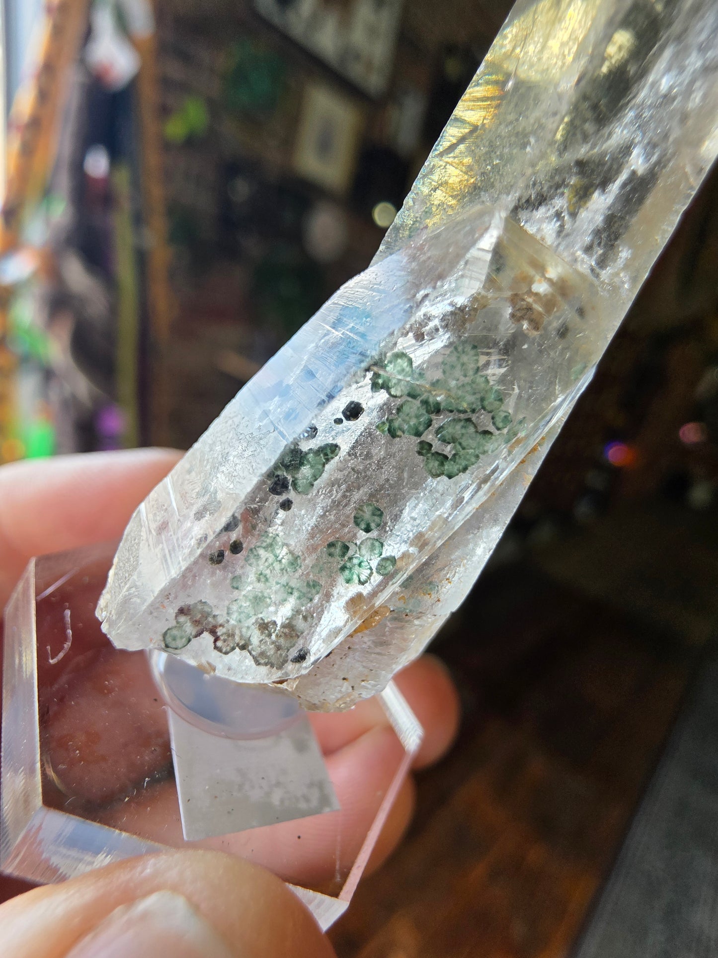 Uncommon Clinochlorite Trapiche Inclusions in Quartz