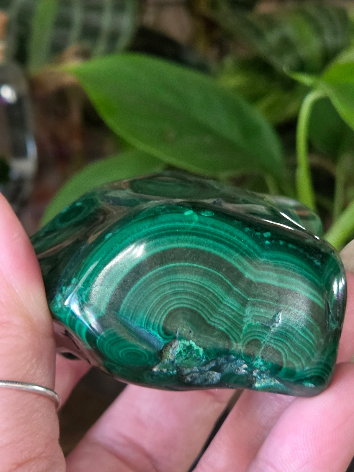 Polished Malachite Freeform