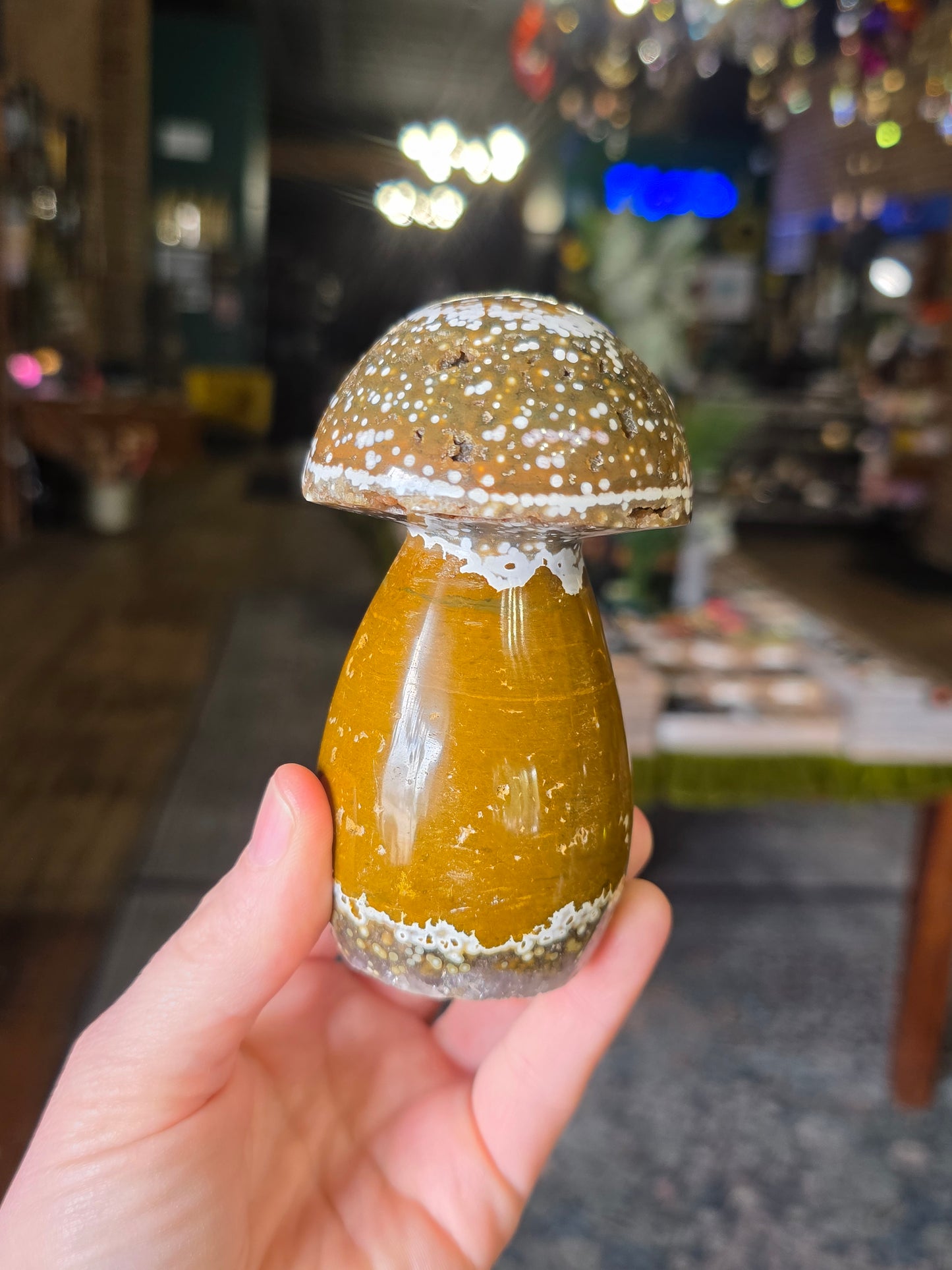 Orbicular Jasper Mushroom
