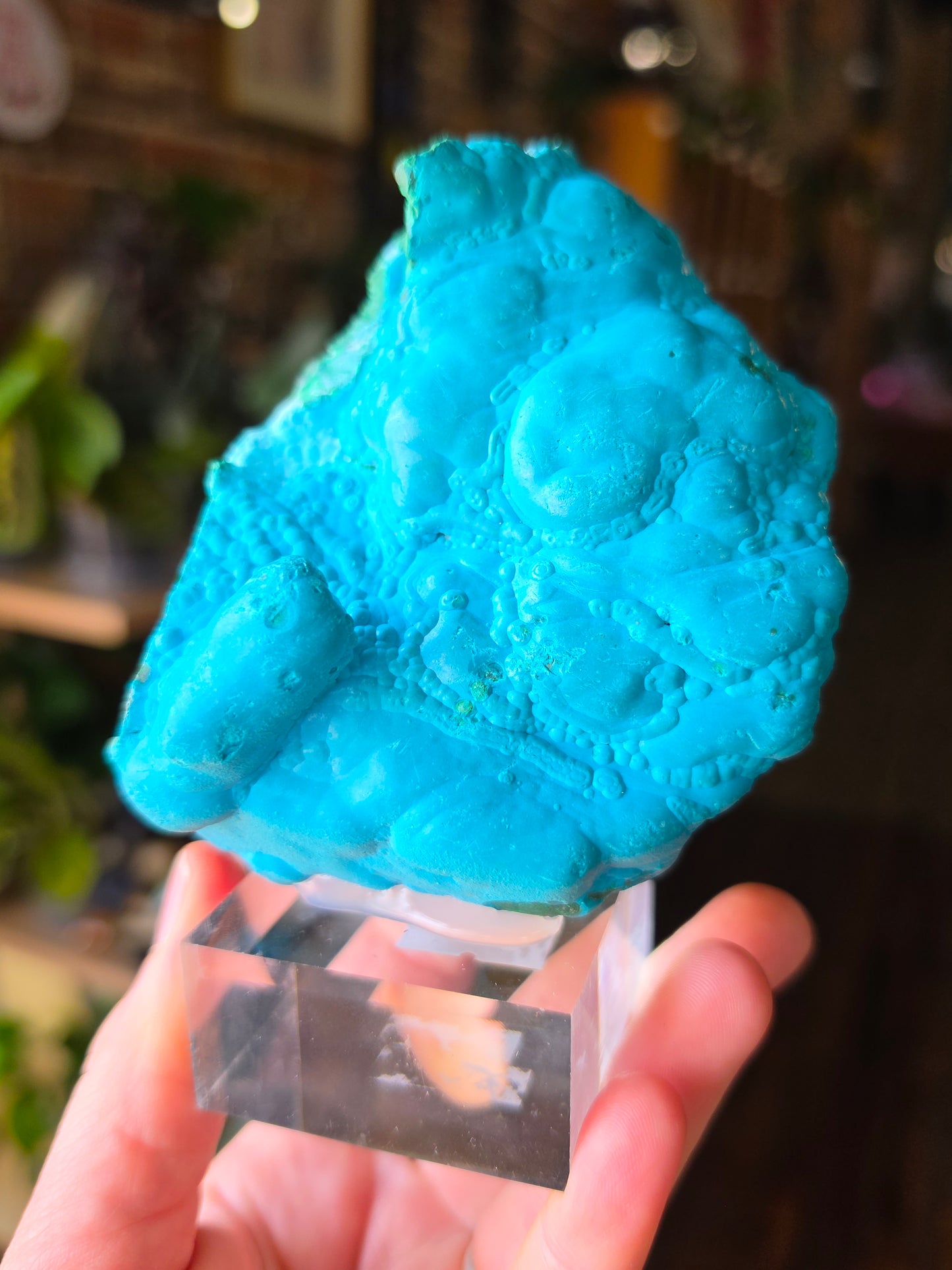 Chrysocolla and Malachite Specimen