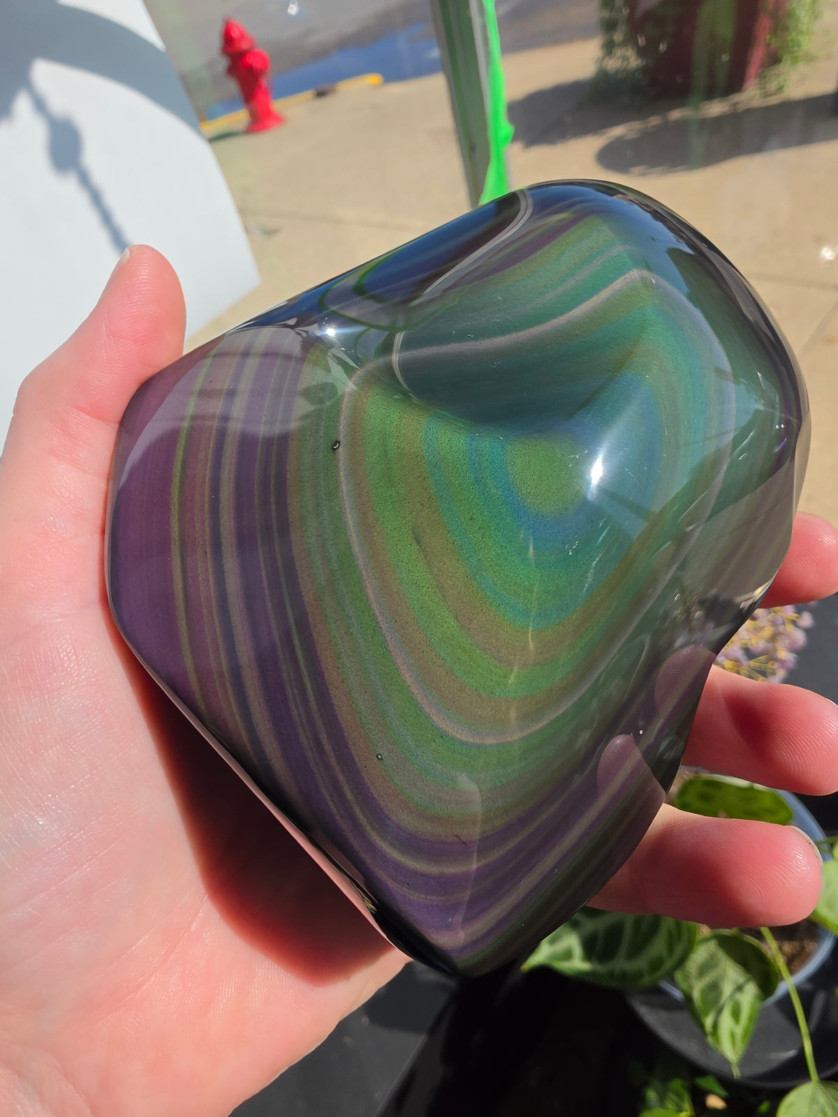 Rainbow Obsidian Freeform
