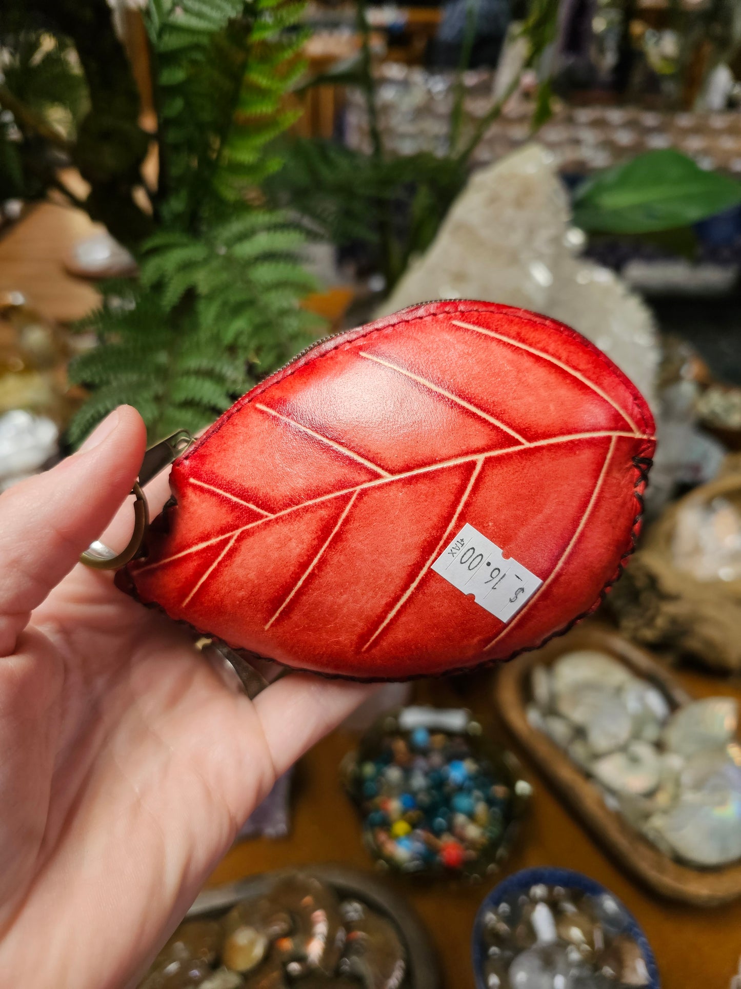 Grasshopper coin purse