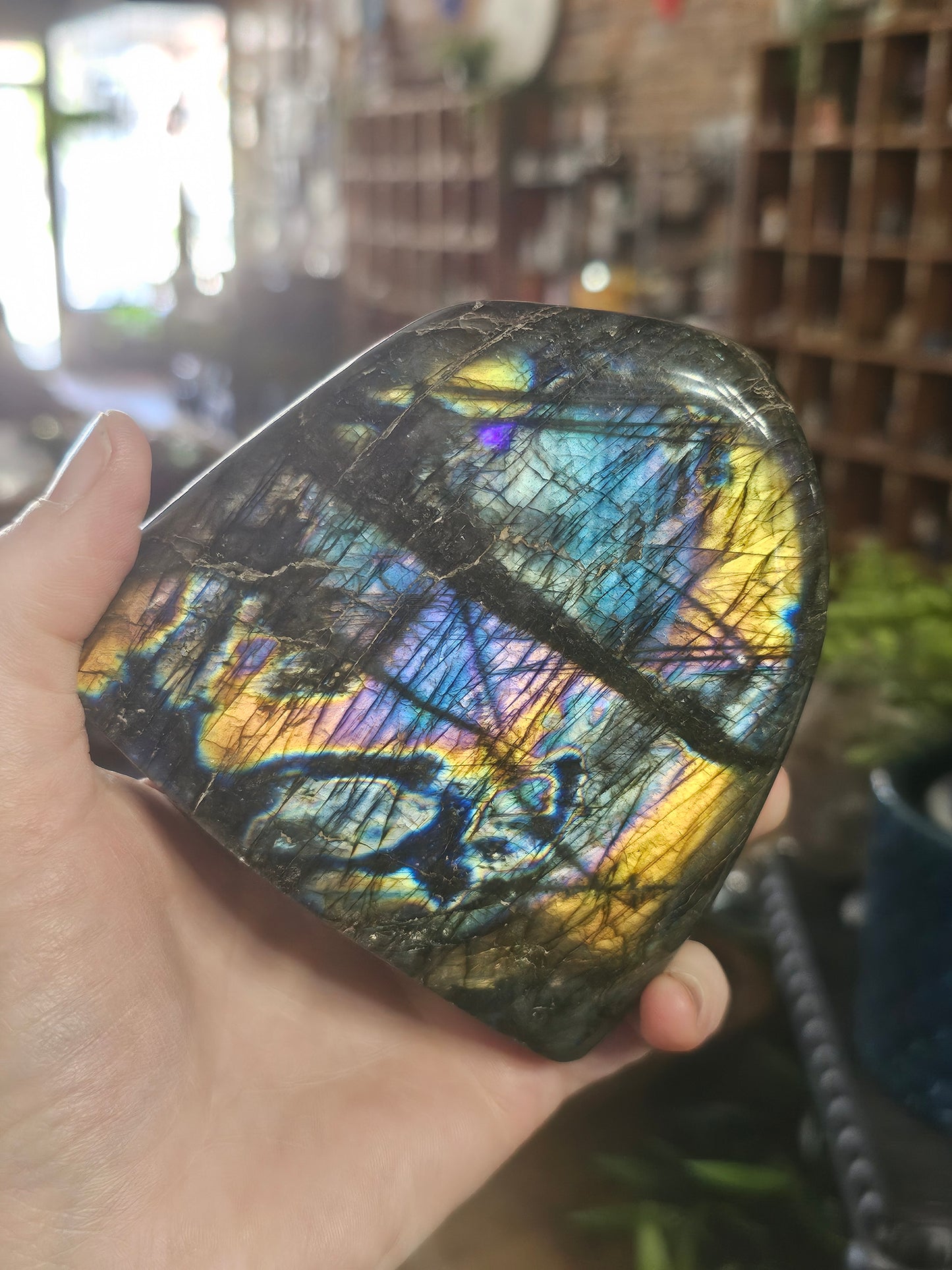 Labradorite Free form
