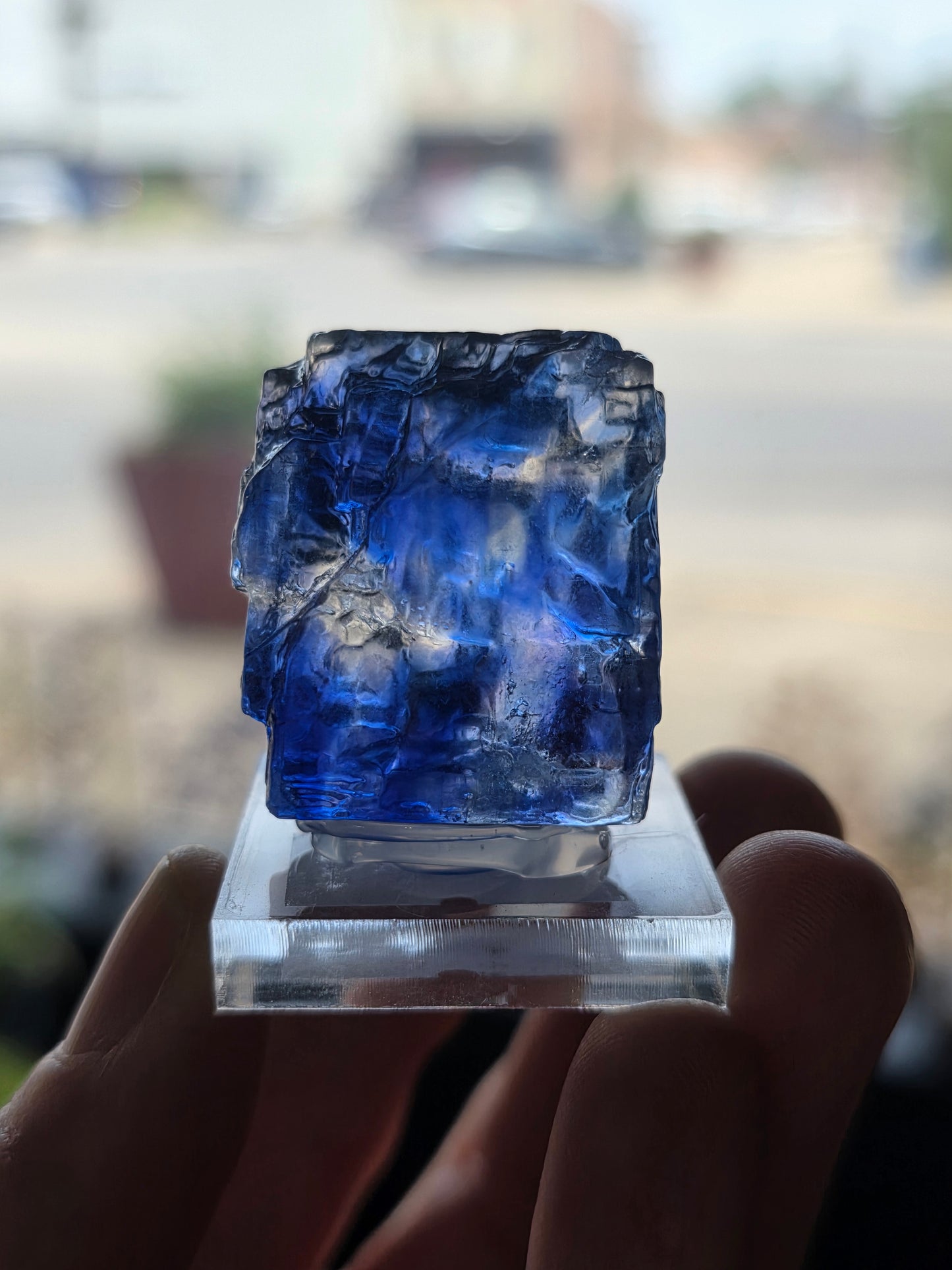 Blue Halite