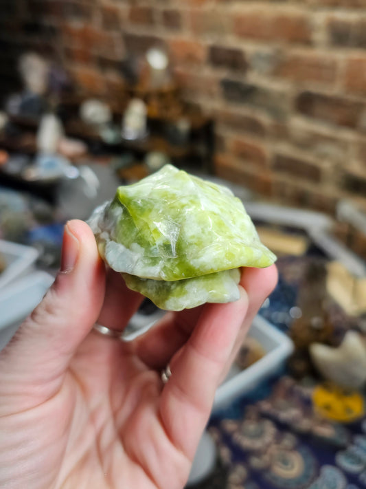 Green Opal Turtle Shell Carving