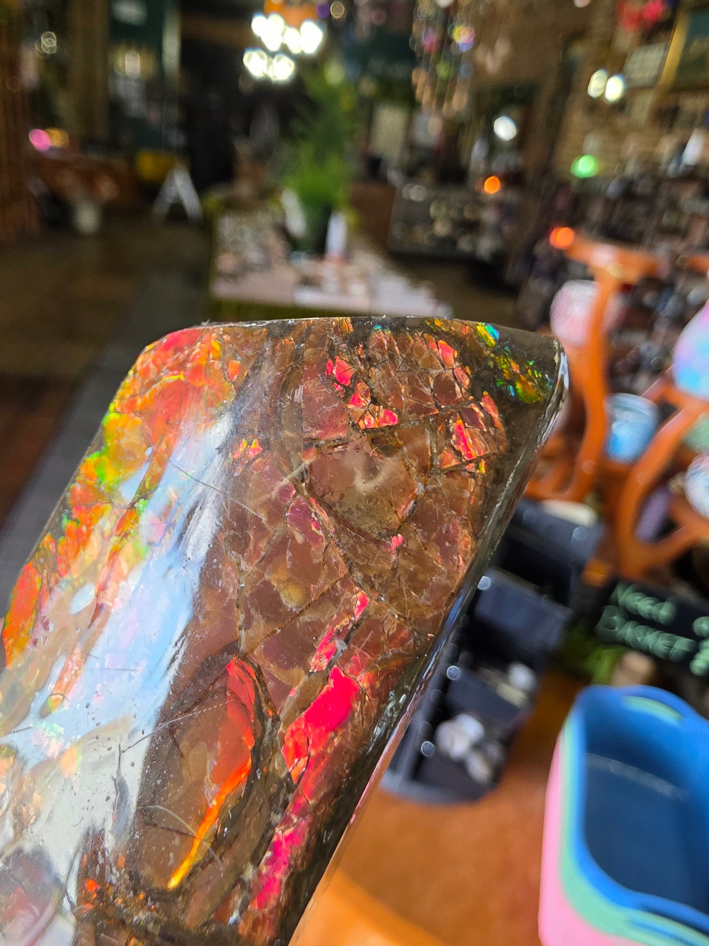 Ammolite