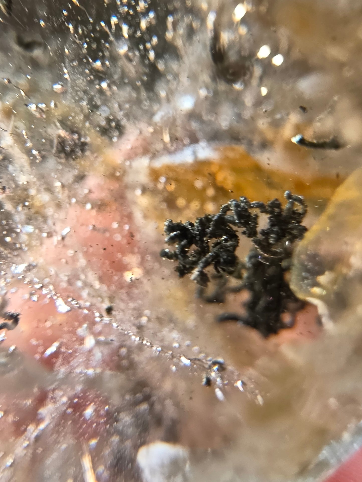Included Smoky Quartz (Moving Fluid Inclusion)