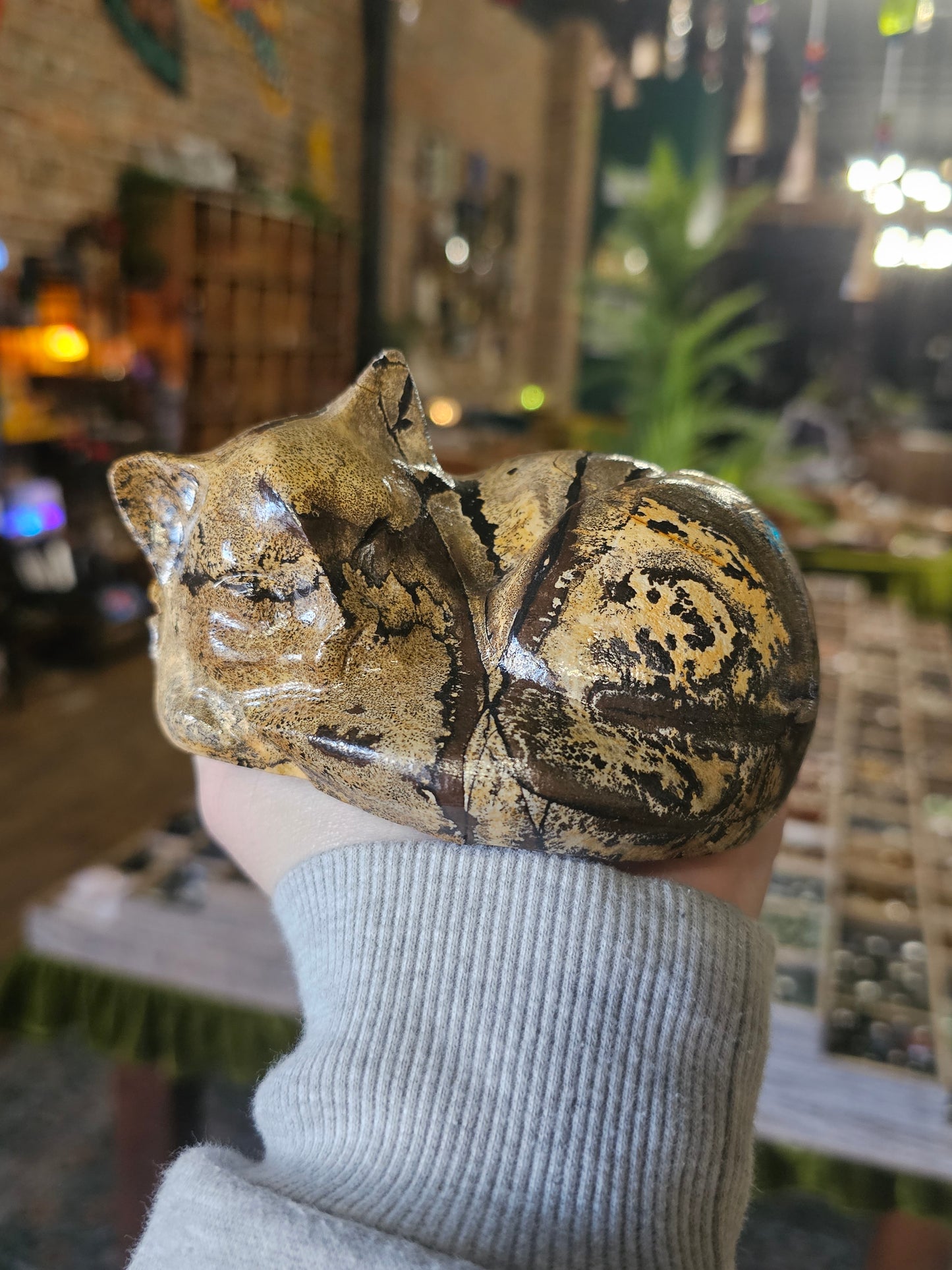 Dendritic Jasper Sleeping Cat