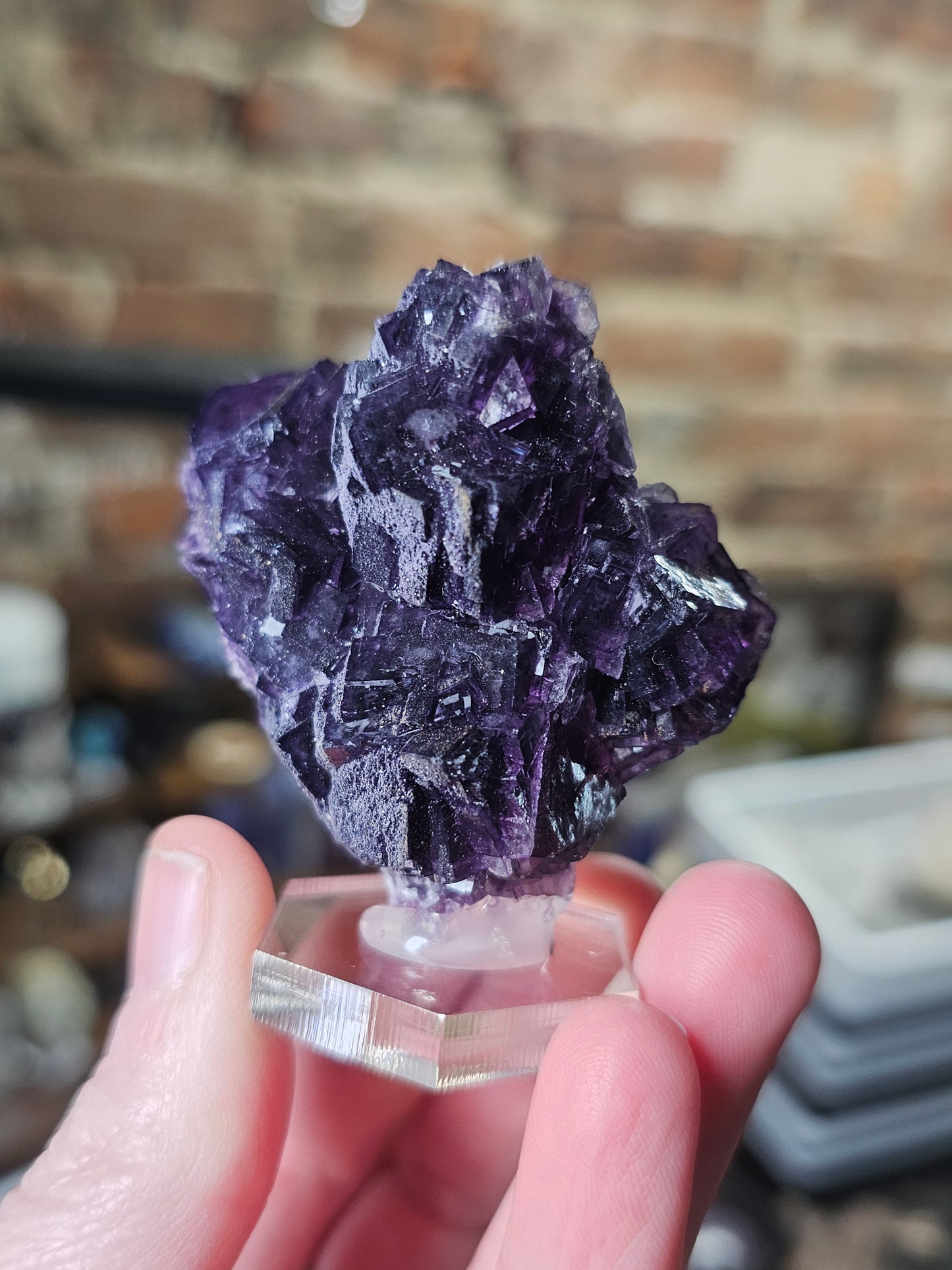 Henan Fluorite