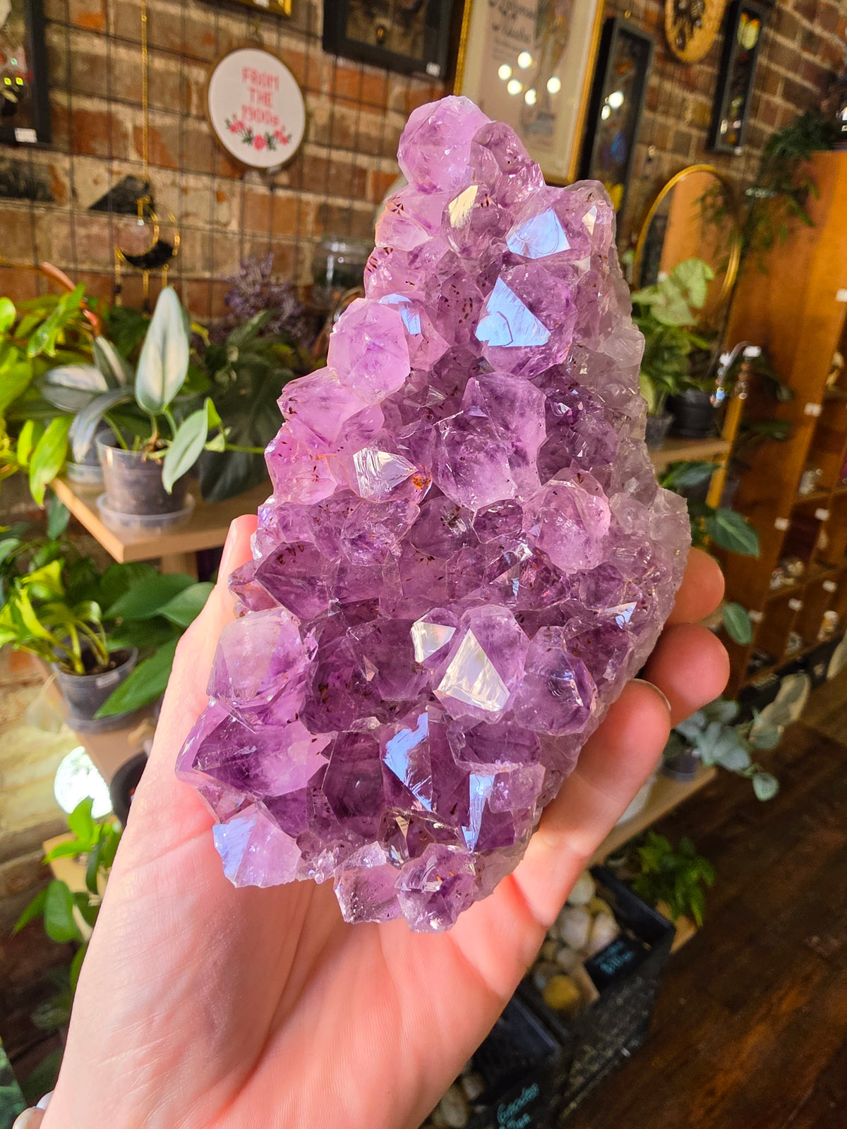 Cut Base Amethyst Cluster