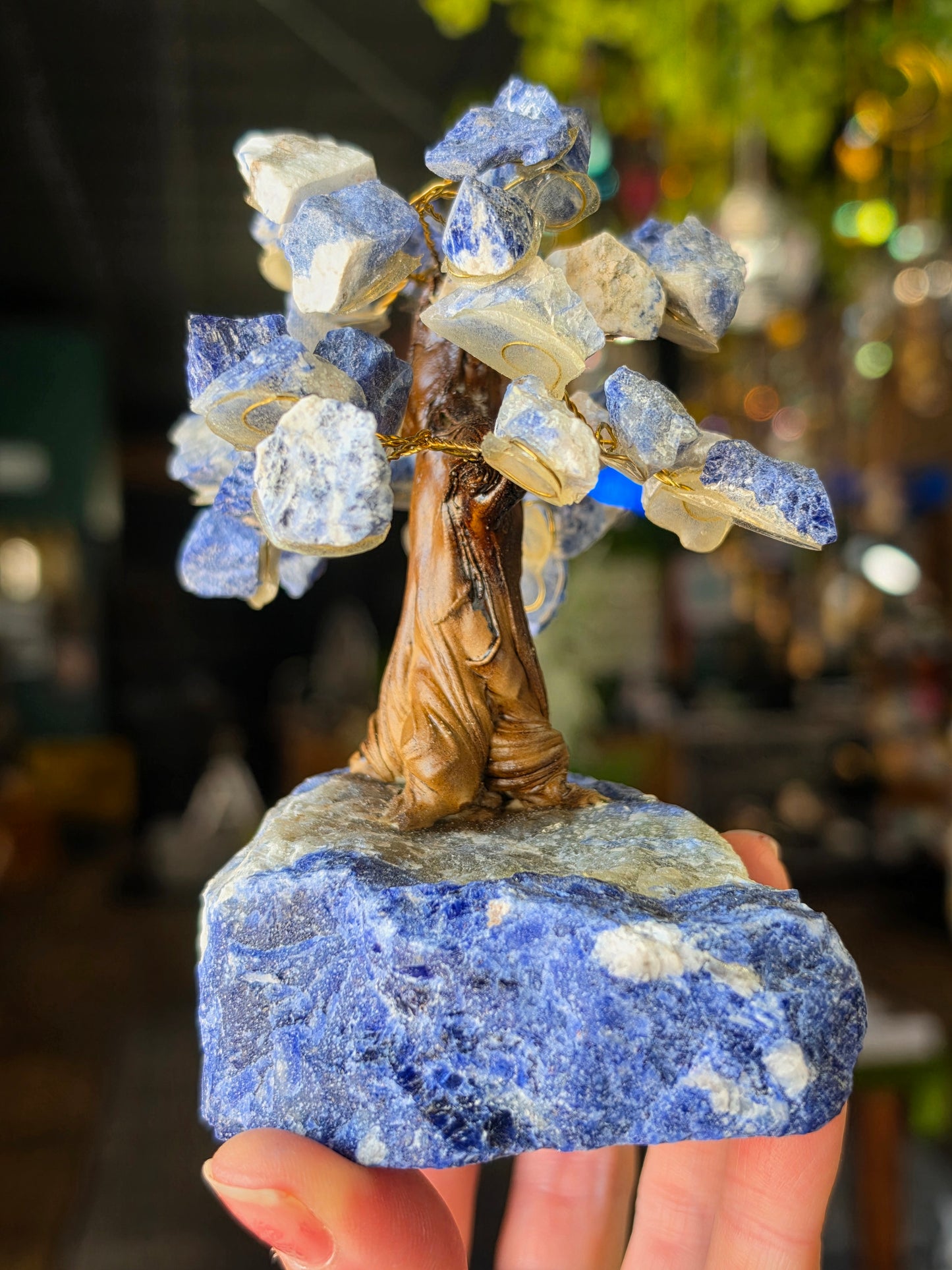Sodalite Tree