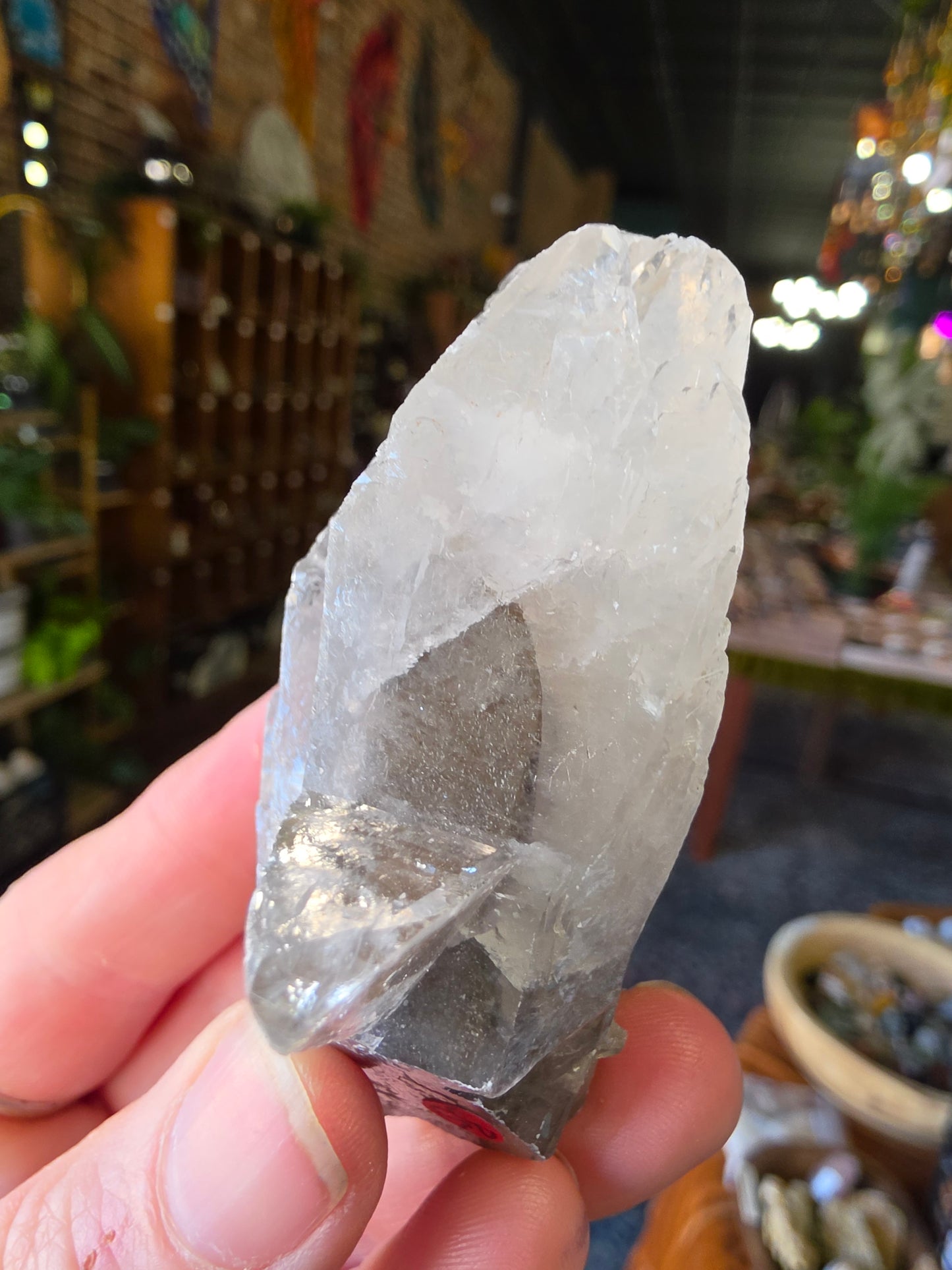 Phantom Calcite
