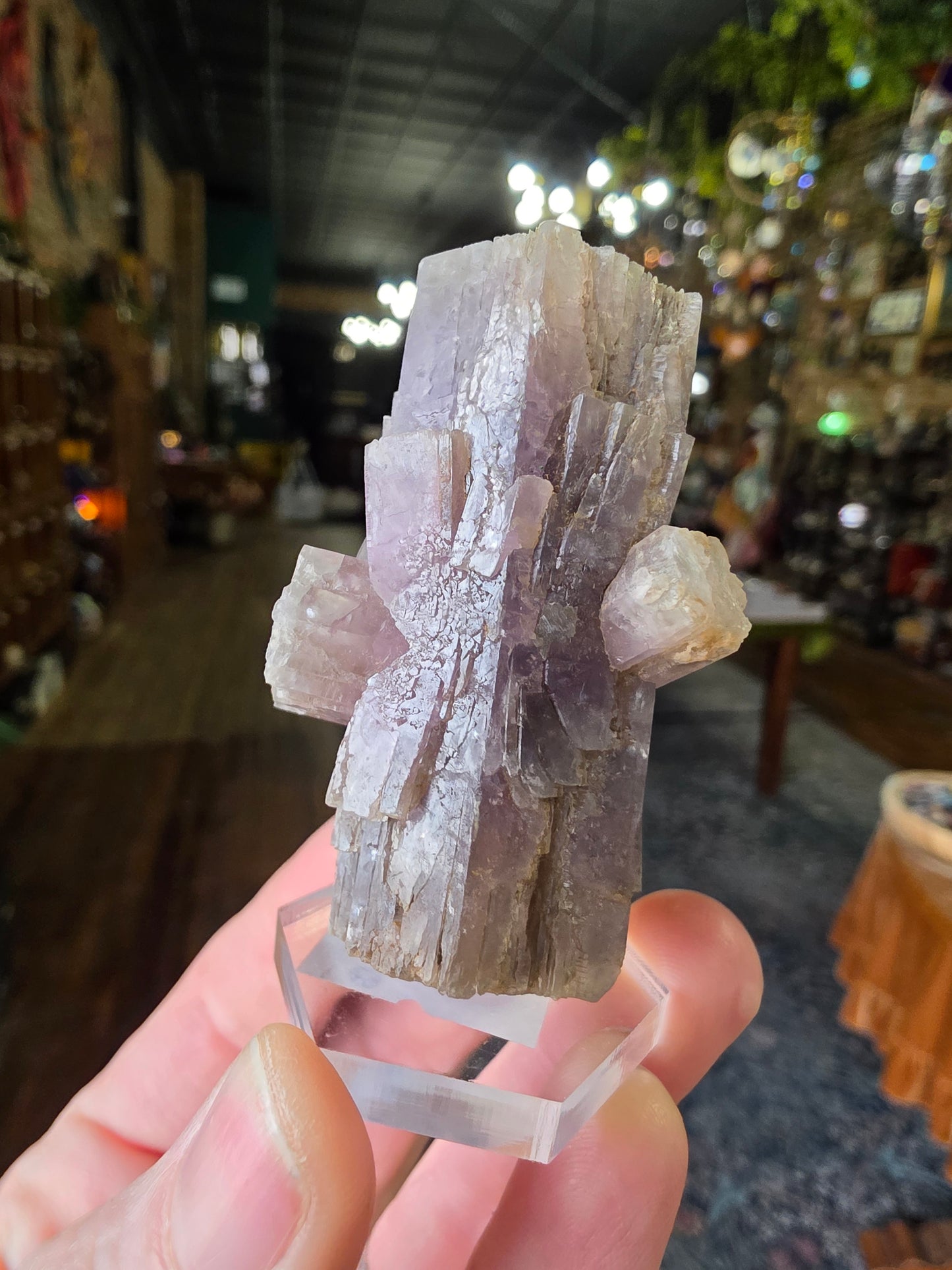 Purple Aragonite