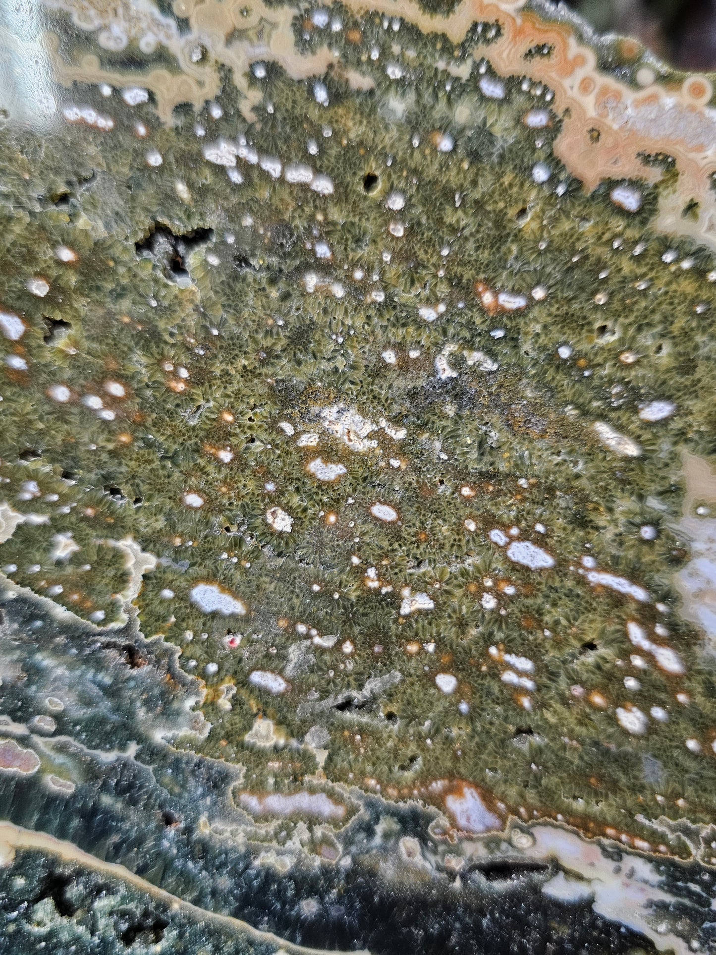 Orbicular Jasper Slab