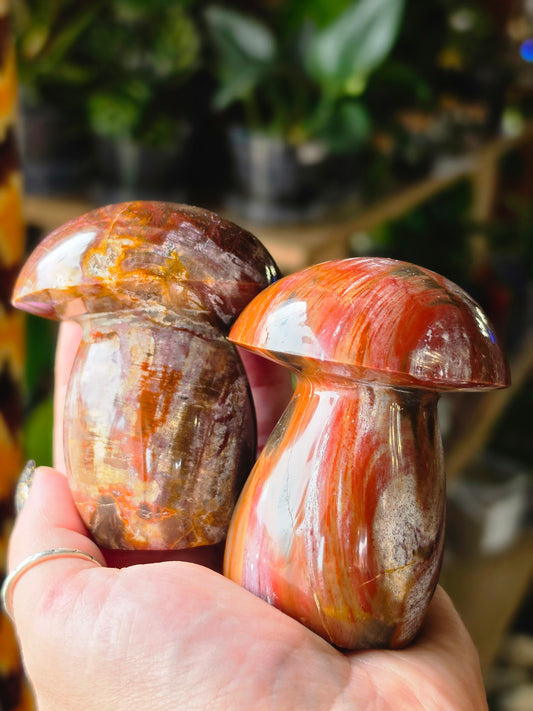 Petrified Wood Mushroom Carving
