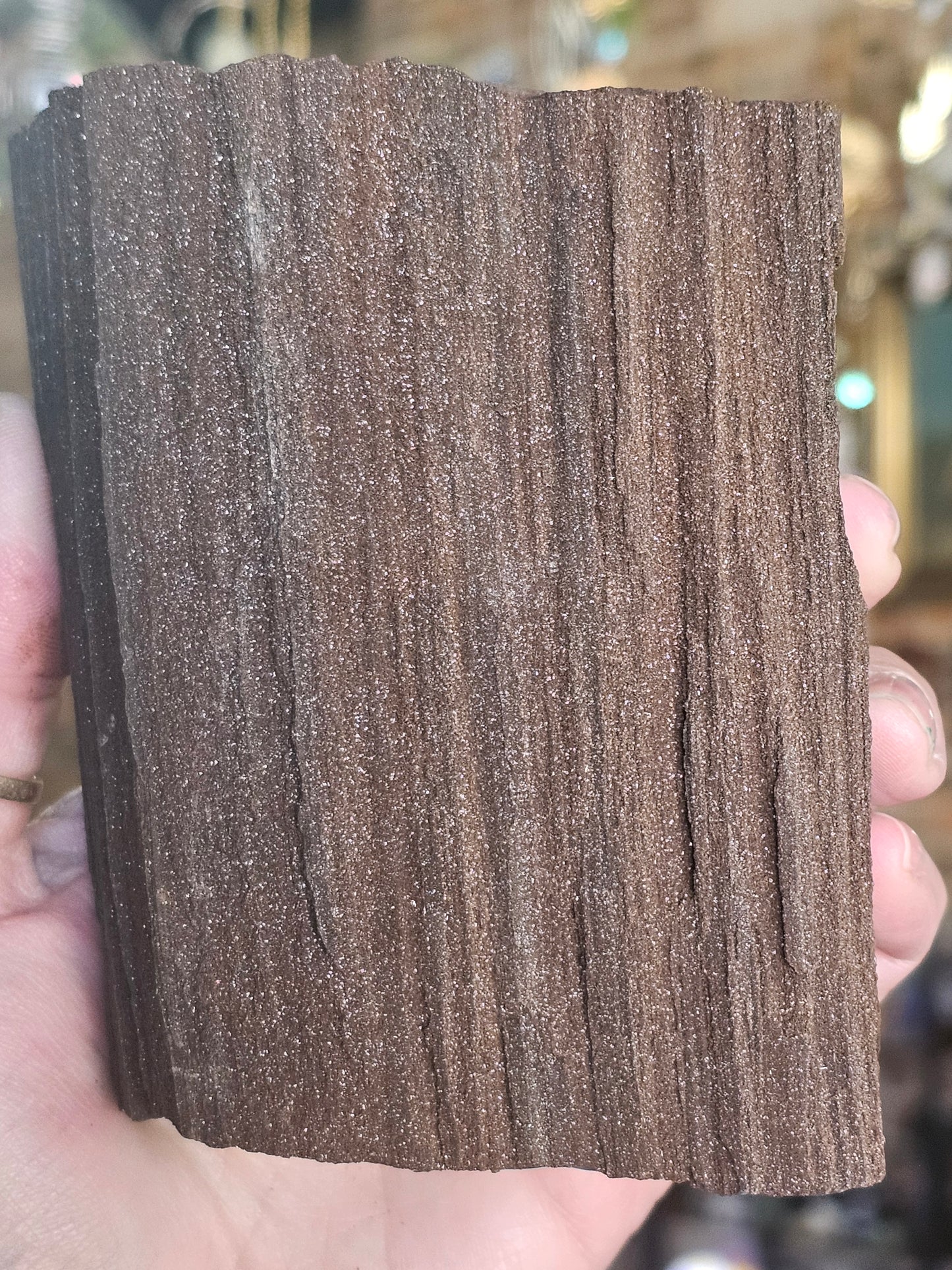 Permineralized Wood
