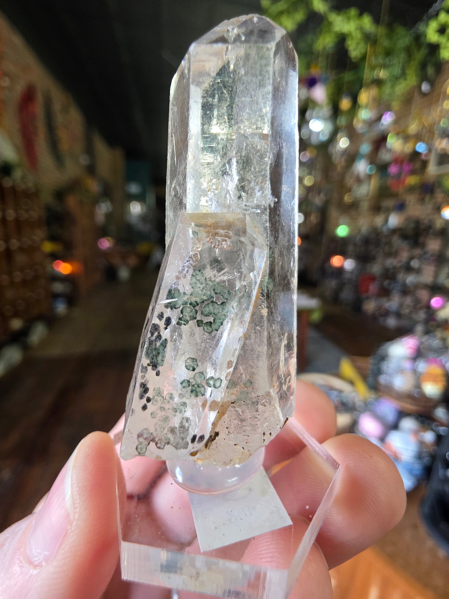 Uncommon Clinochlorite Trapiche Inclusions in Quartz