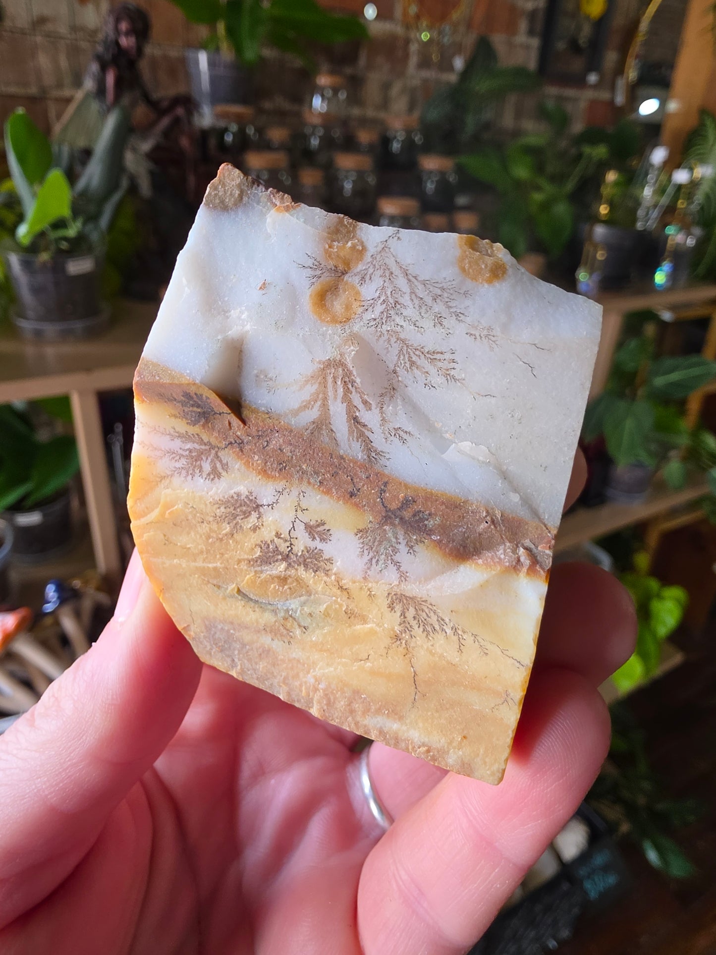 Dendritic Polkadot Agate