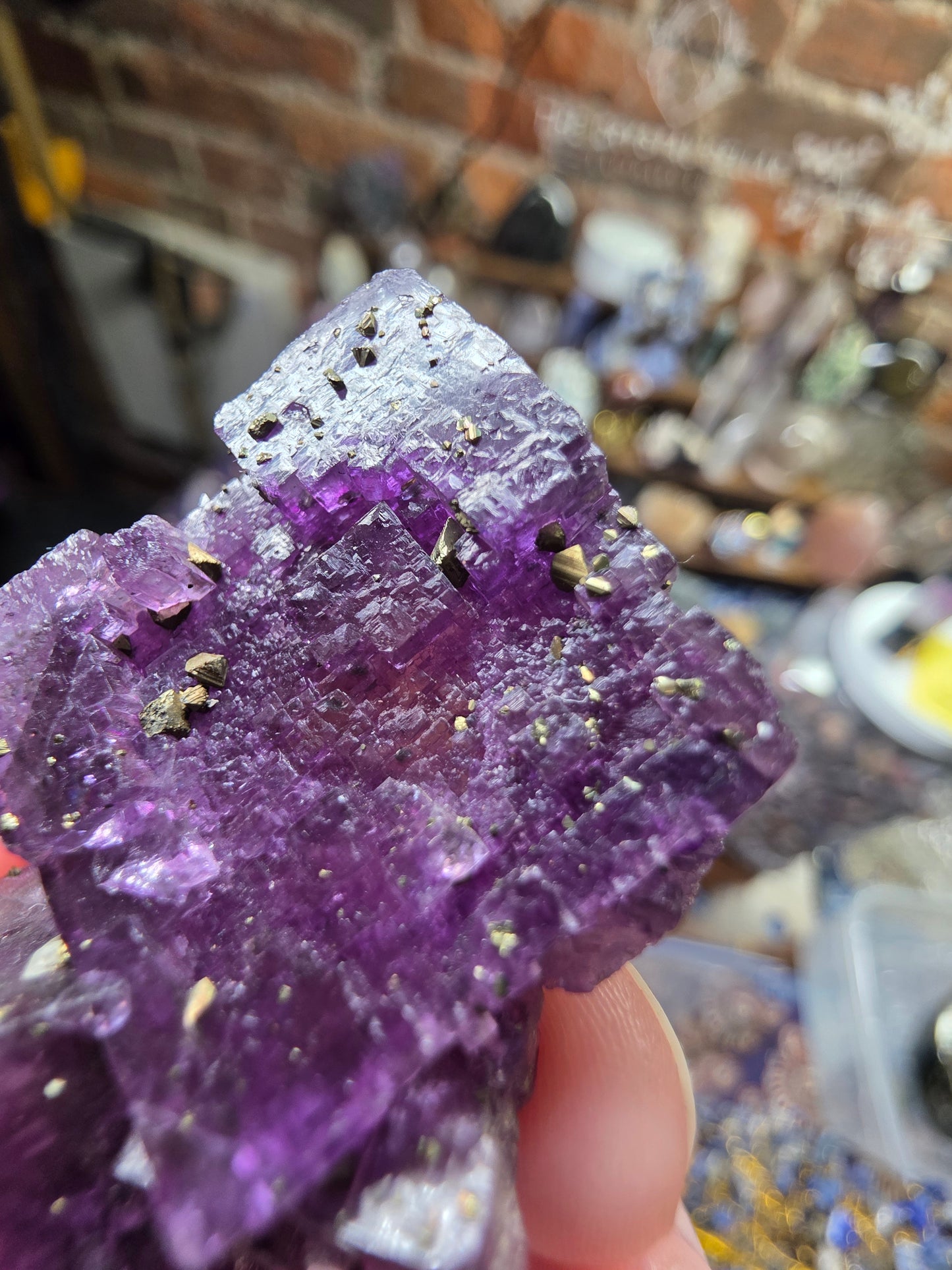Pyrite on Fluorite