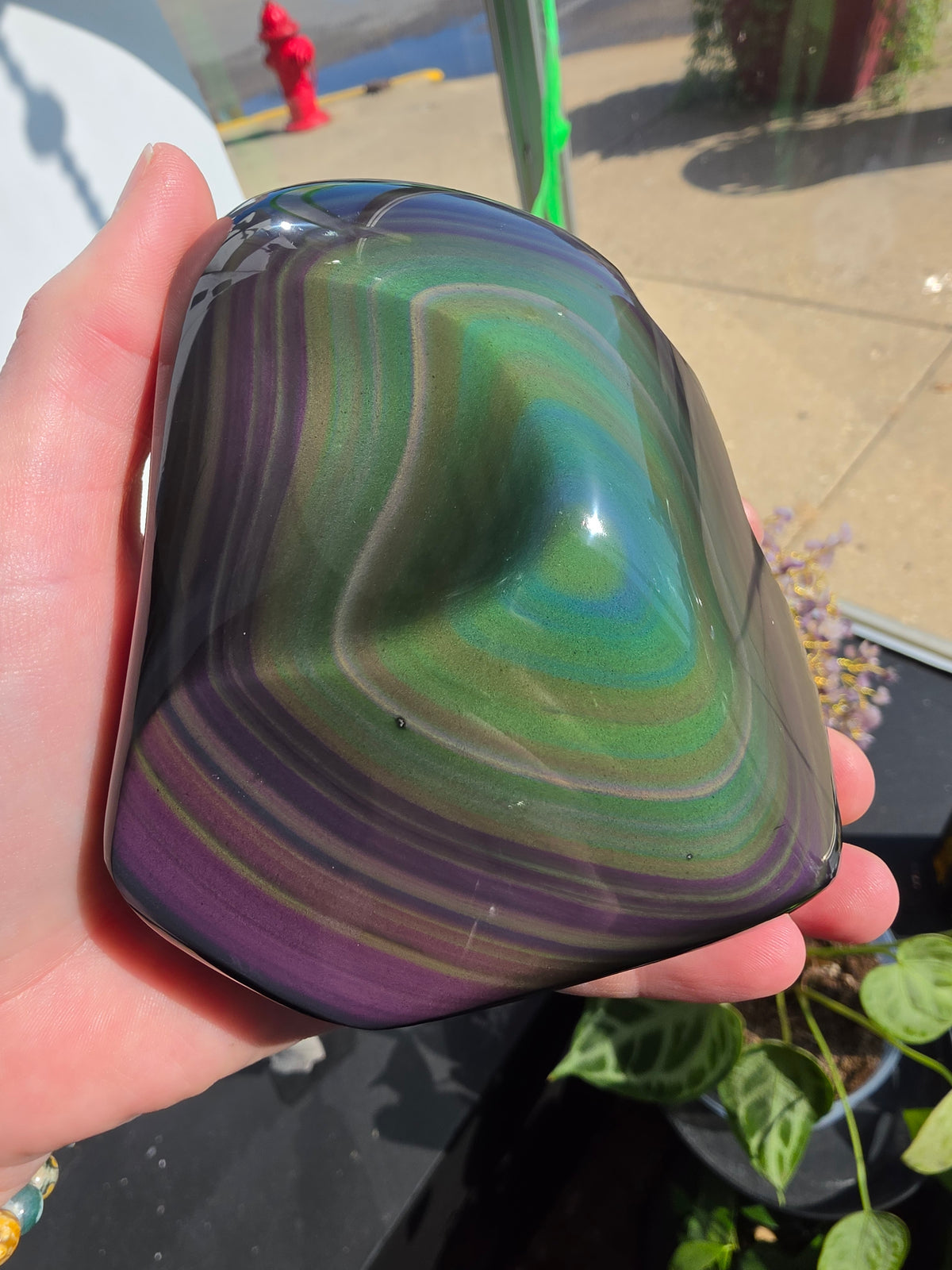 Rainbow Obsidian Freeform