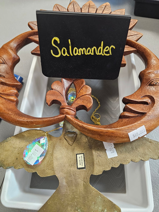 Salamander 10/17