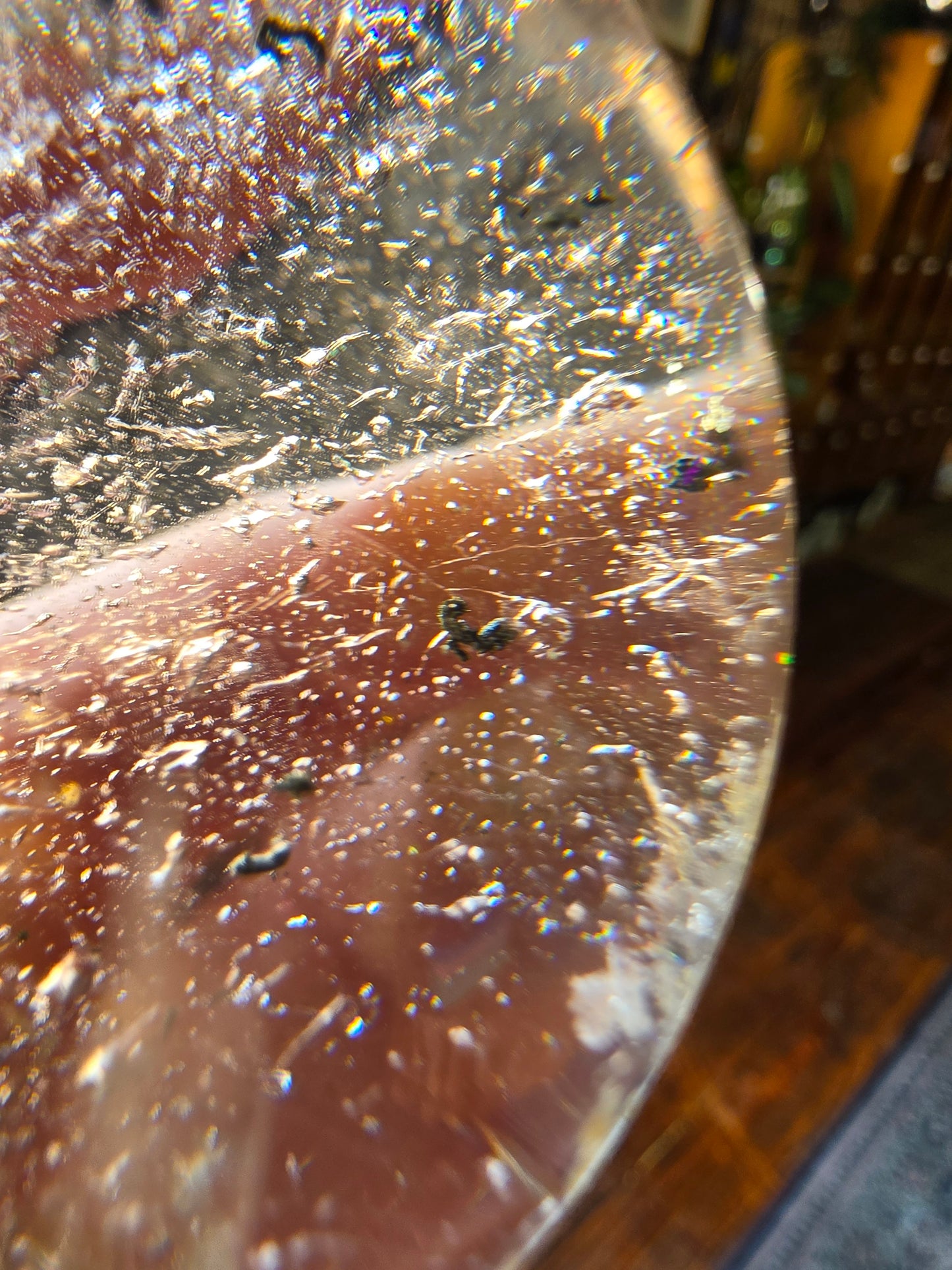 Included Smoky Quartz (Moving Fluid Inclusion)