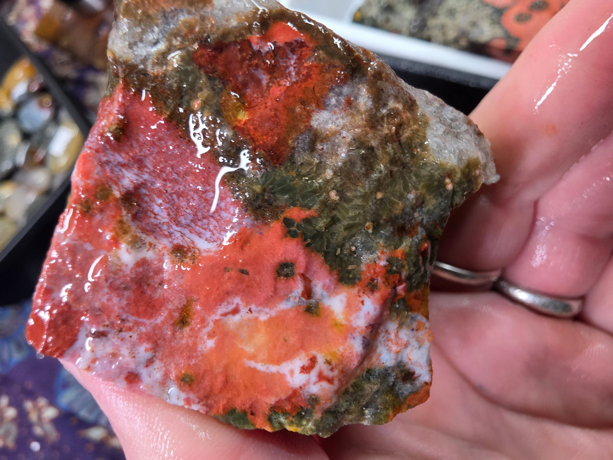 Orbicular Jasper Rough
