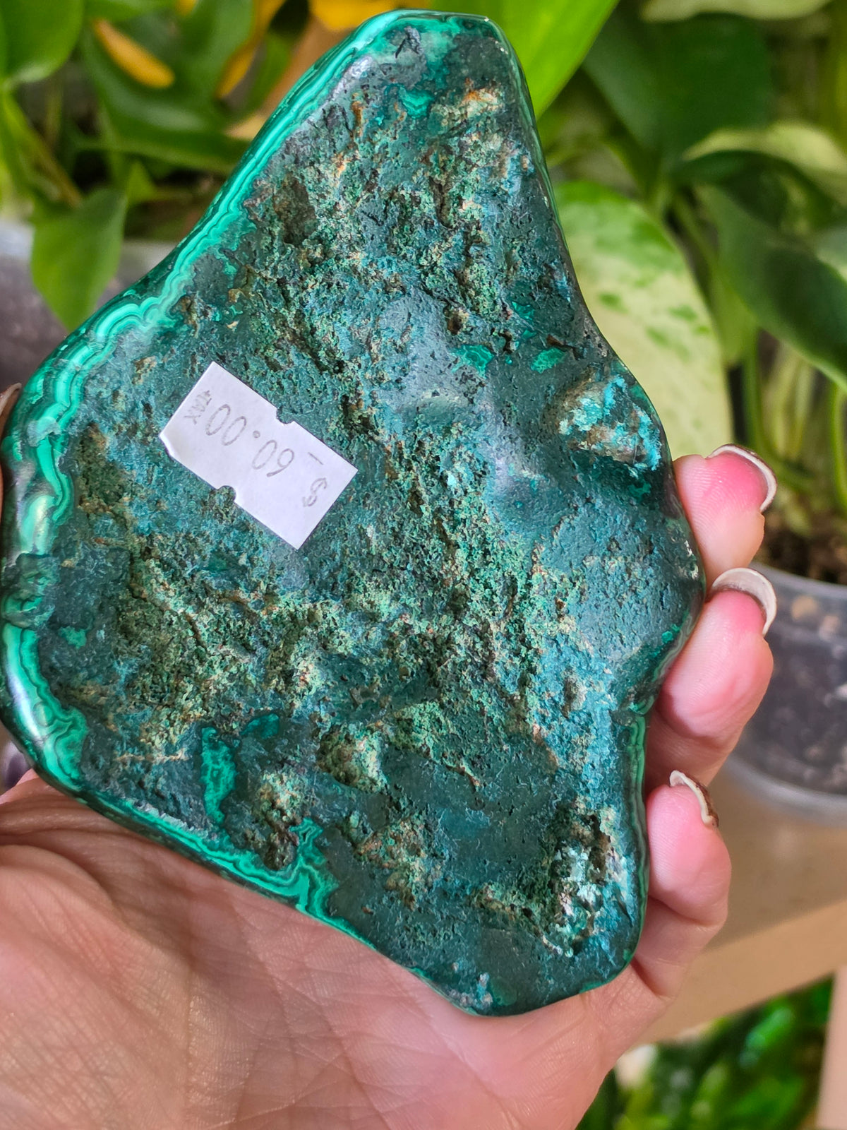Polished Malachite Free Form