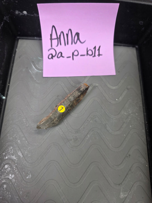 Anna 10/12