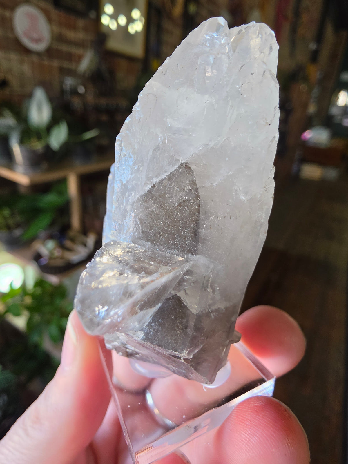 Phantom Calcite